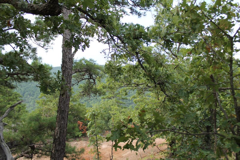 Trophy Ridge Phase III Tract 27 photo 3