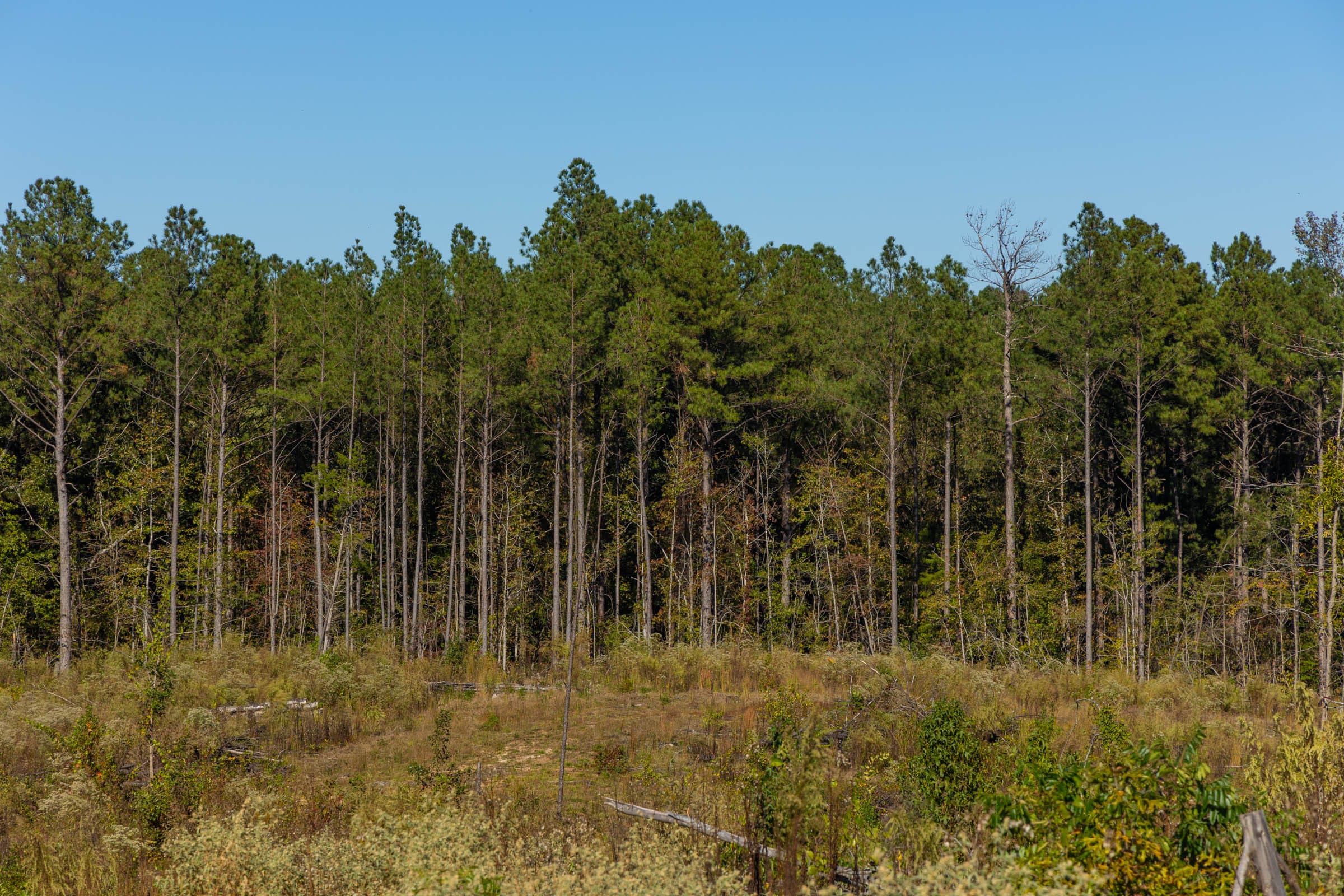 Meyer’s Ridge Tract 24 photo 14