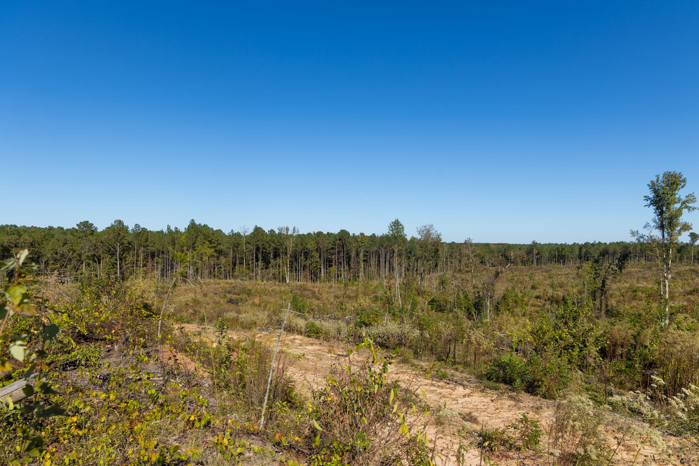 Meyer’s Ridge Tract 24 photo 13