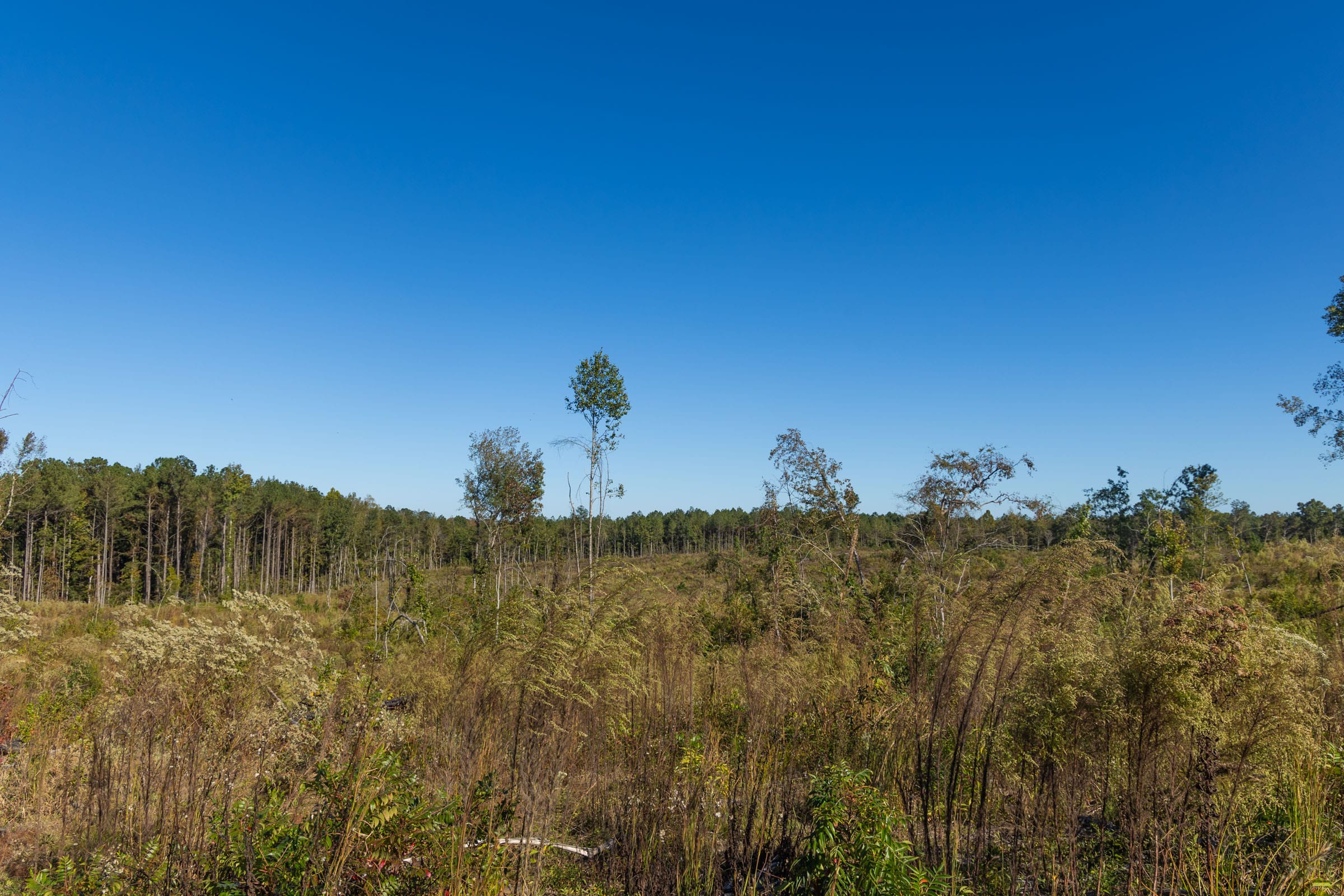 Meyer’s Ridge Tract 24 photo 12