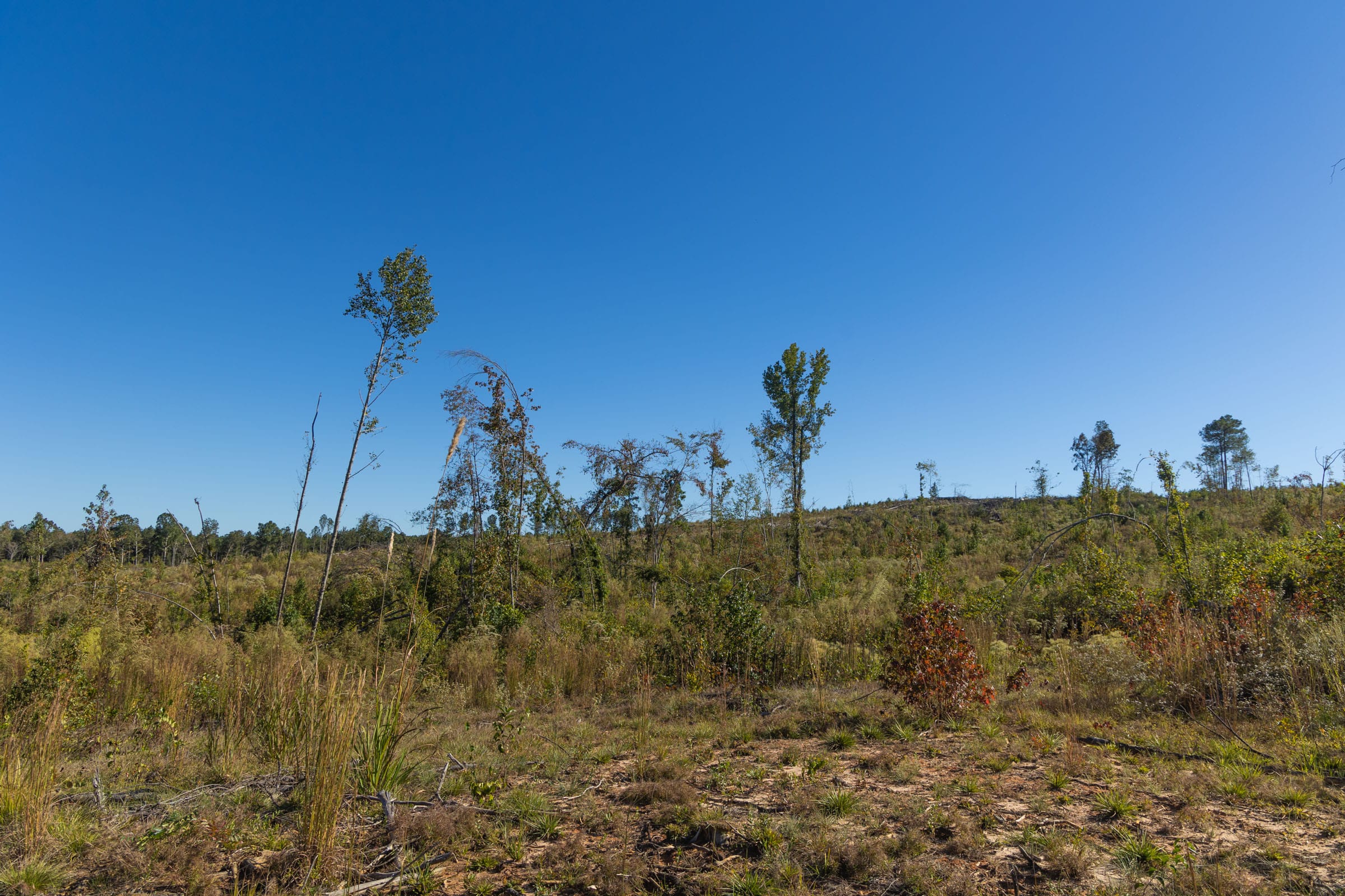 Meyer’s Ridge Tract 24 photo 10