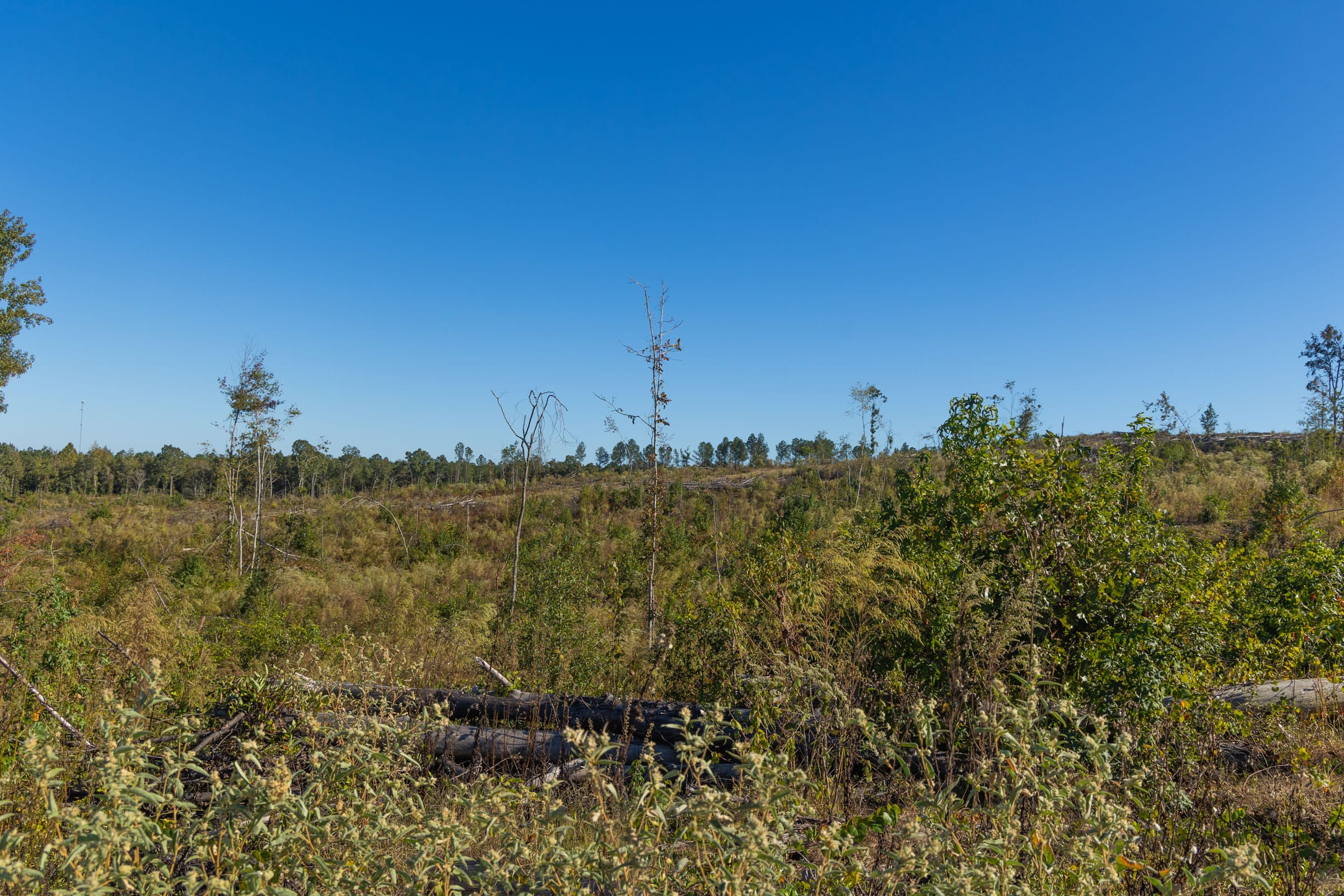 Meyer’s Ridge Tract 24 photo 8