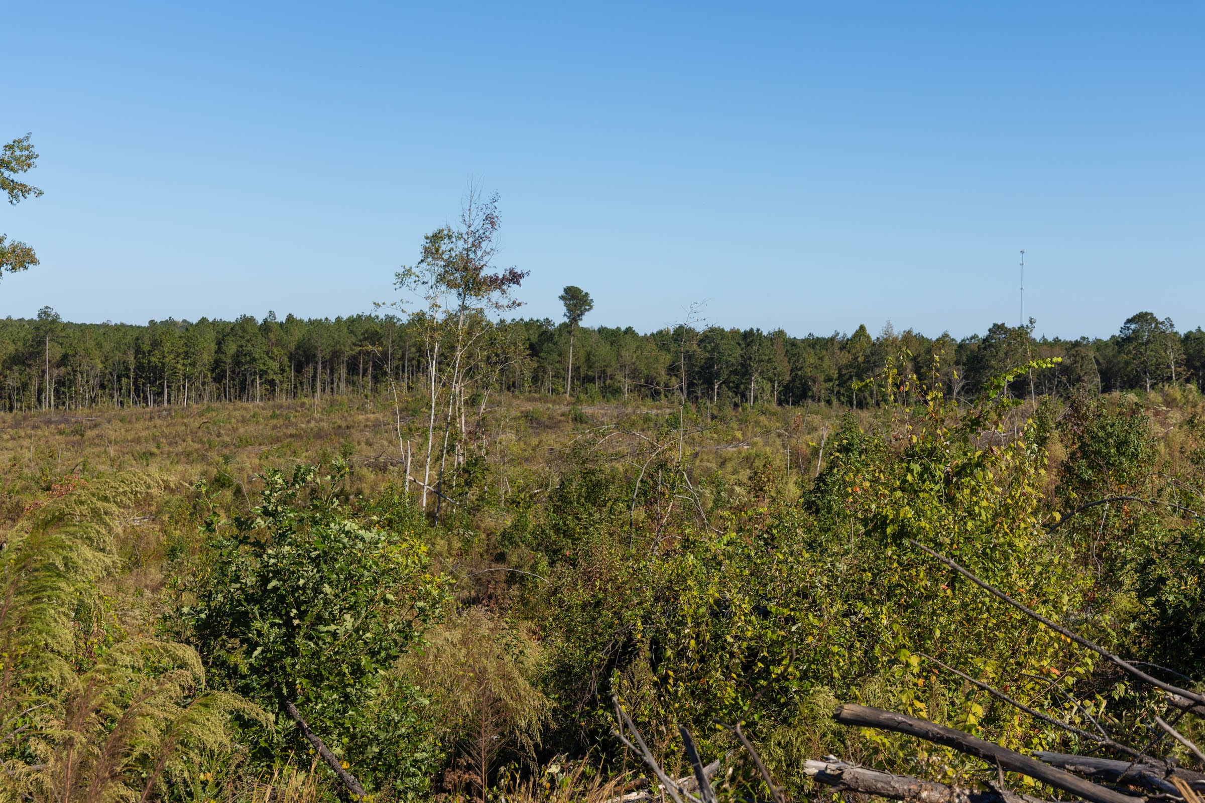 Meyer’s Ridge Tract 24 photo 7