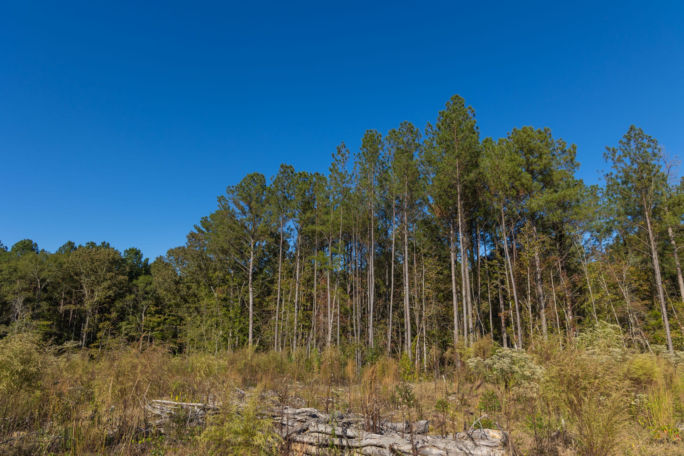 Meyer’s Ridge Tract 24 photo 5