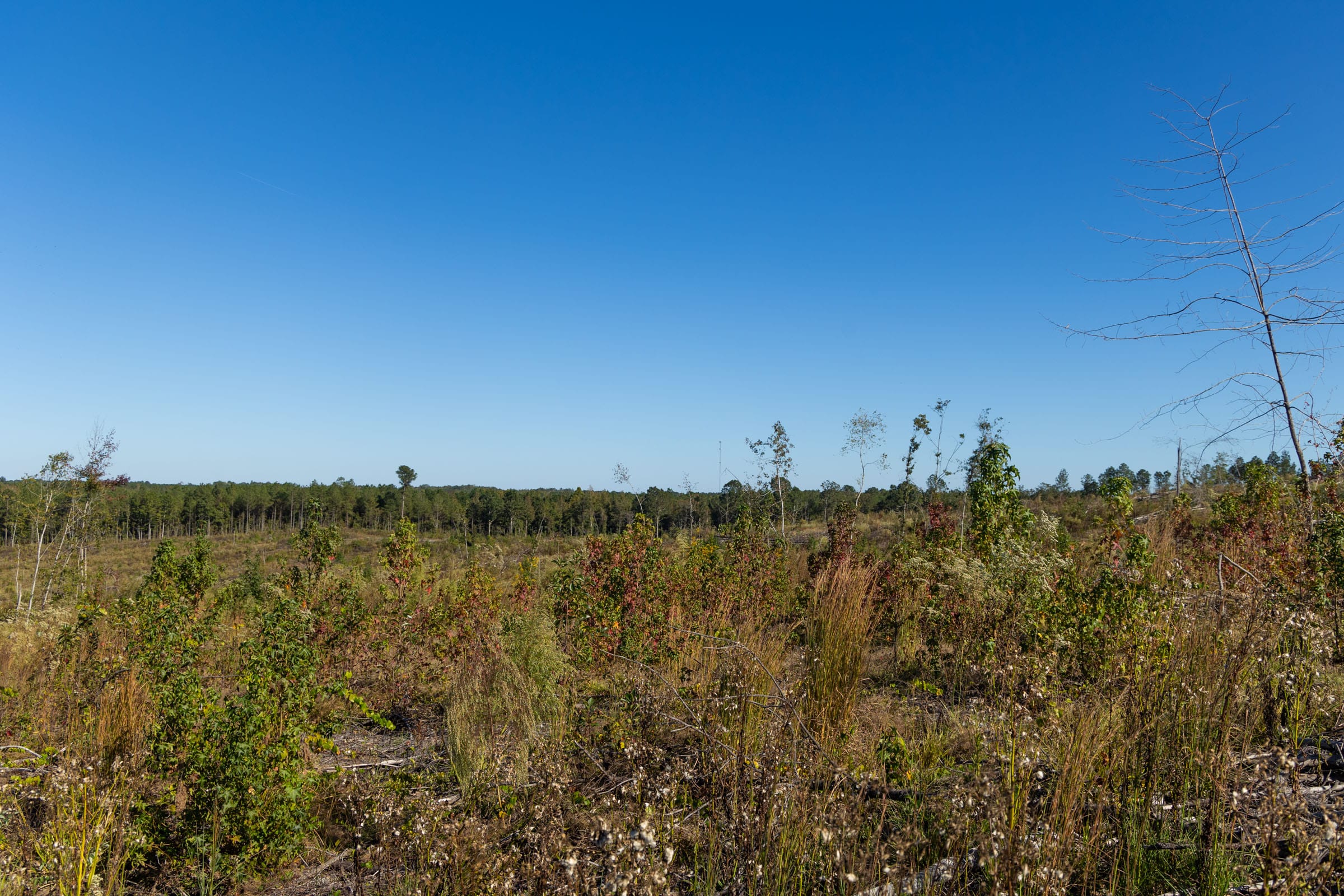 Meyer’s Ridge Tract 24 photo 4