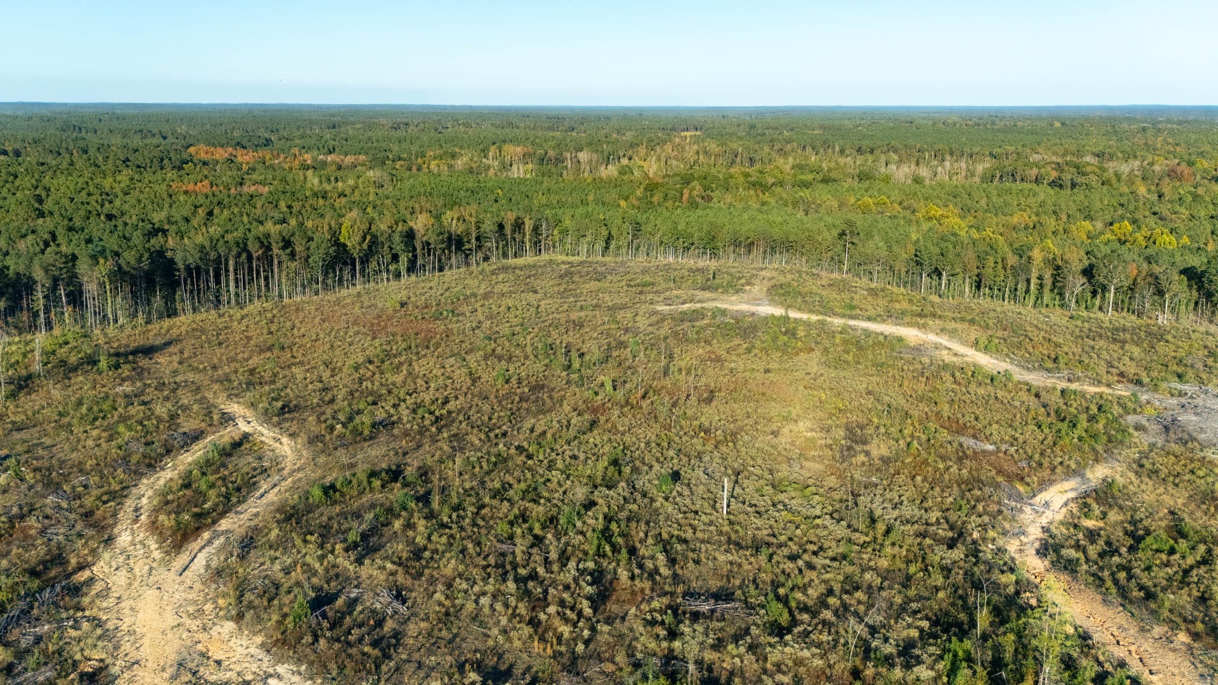 Meyer’s Ridge Tract 28 photo 2