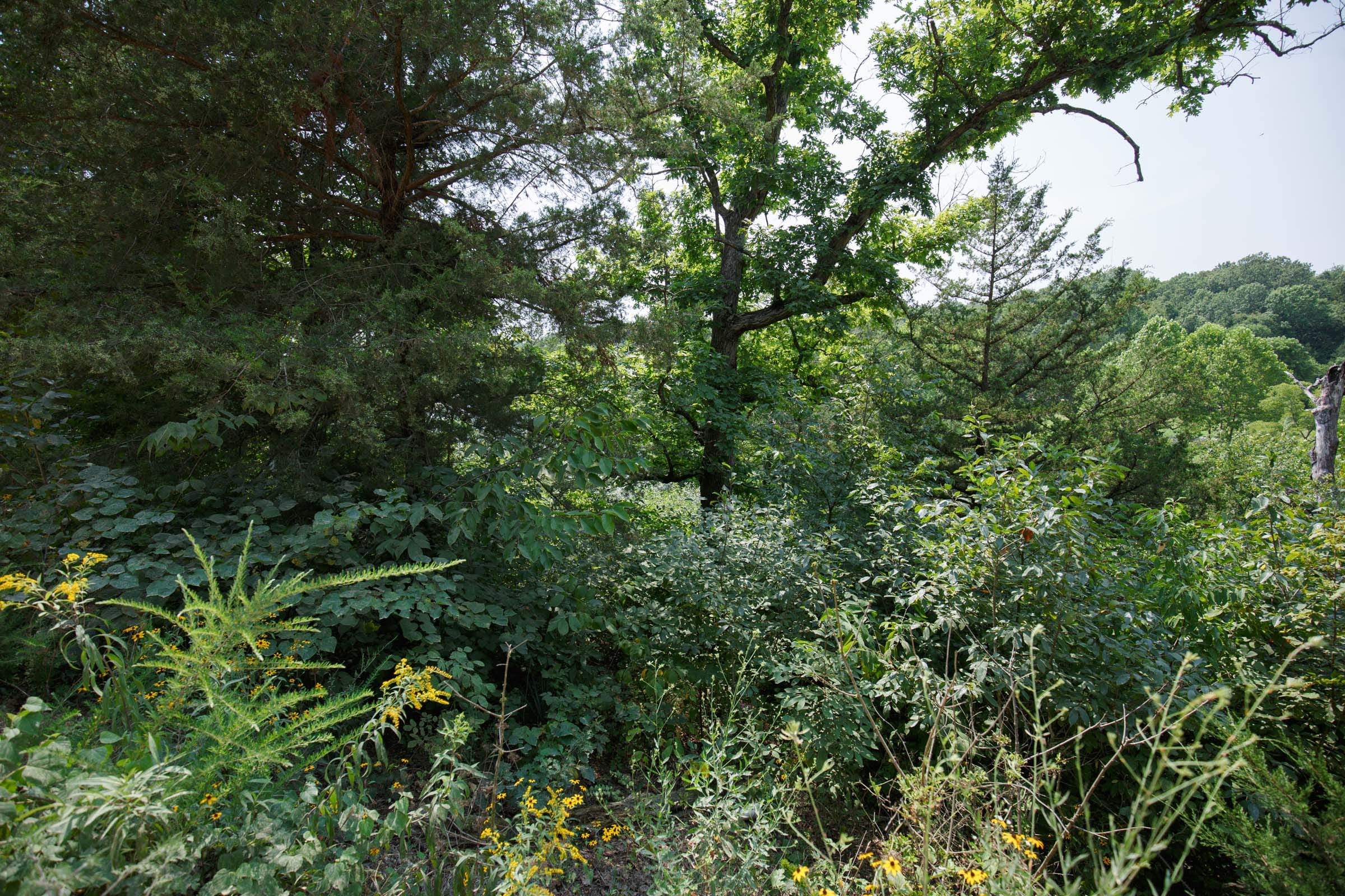 Spring Lake Plat 6 Tract 120 photo 4
