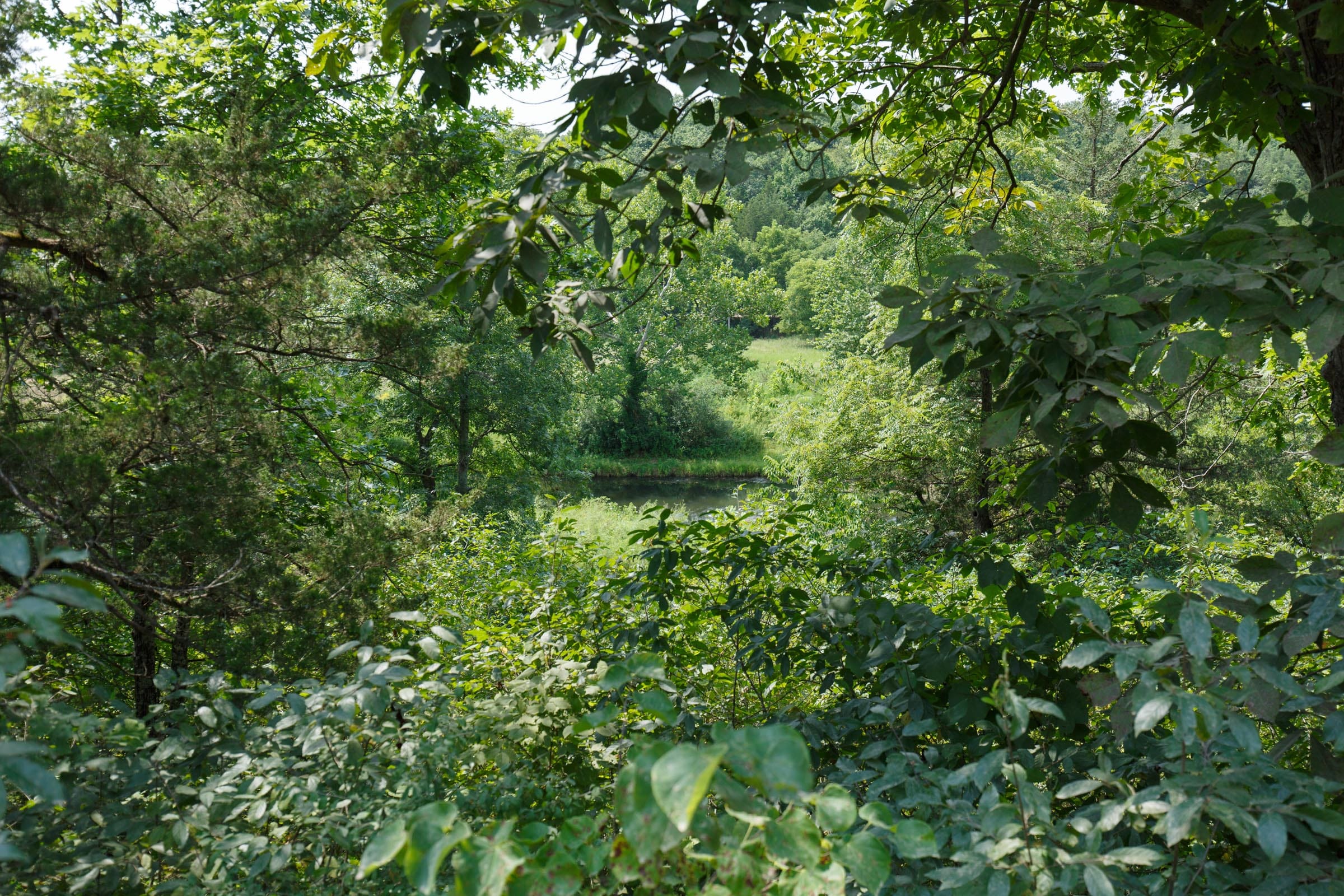 Spring Lake Plat 6 Tract 120 photo 5