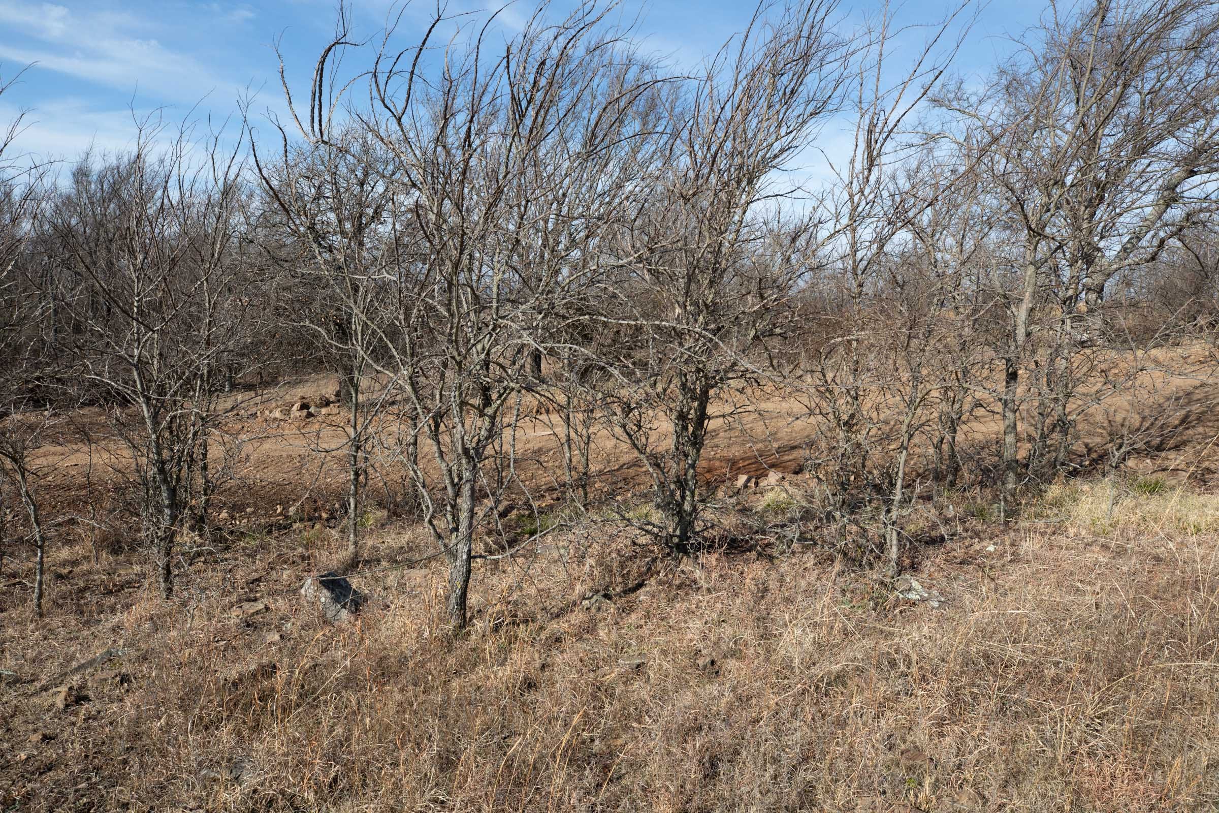 Painted Horse Tract 15 photo 4