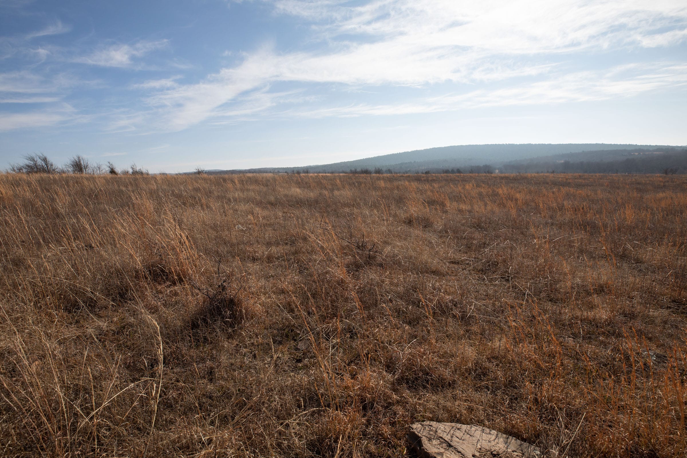 Painted Horse Tract 15 photo 3