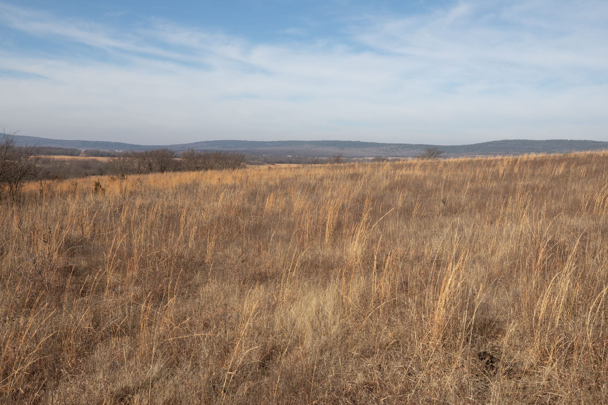 Painted Horse Tract 15 photo 8