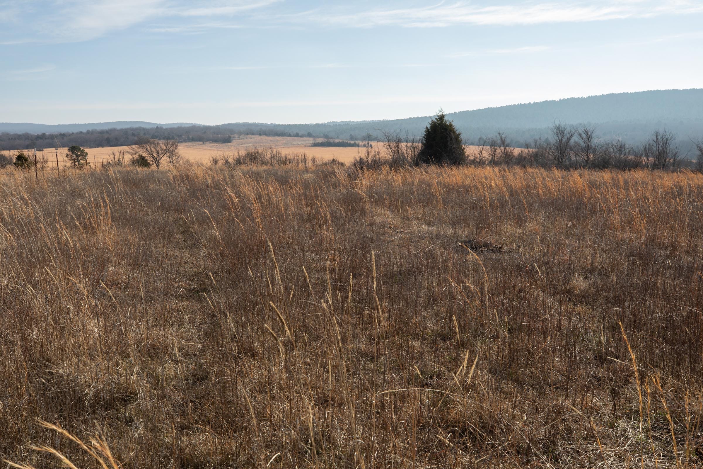 Painted Horse Tract 15 photo 5
