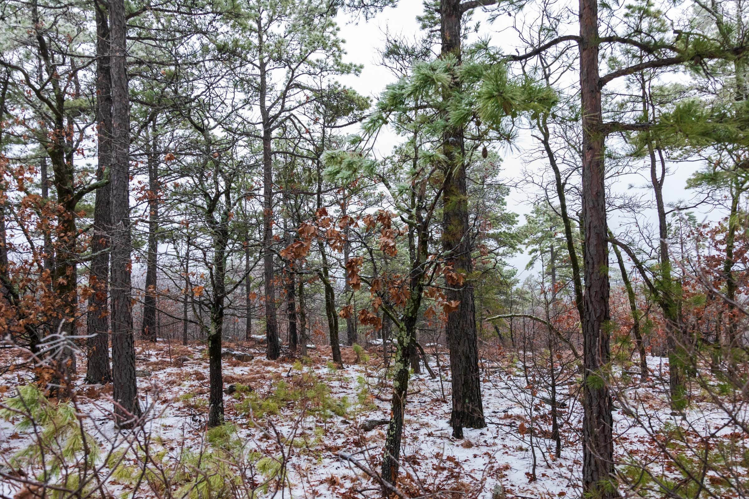 Stone Bridge Phase IV Tract 320 photo 6