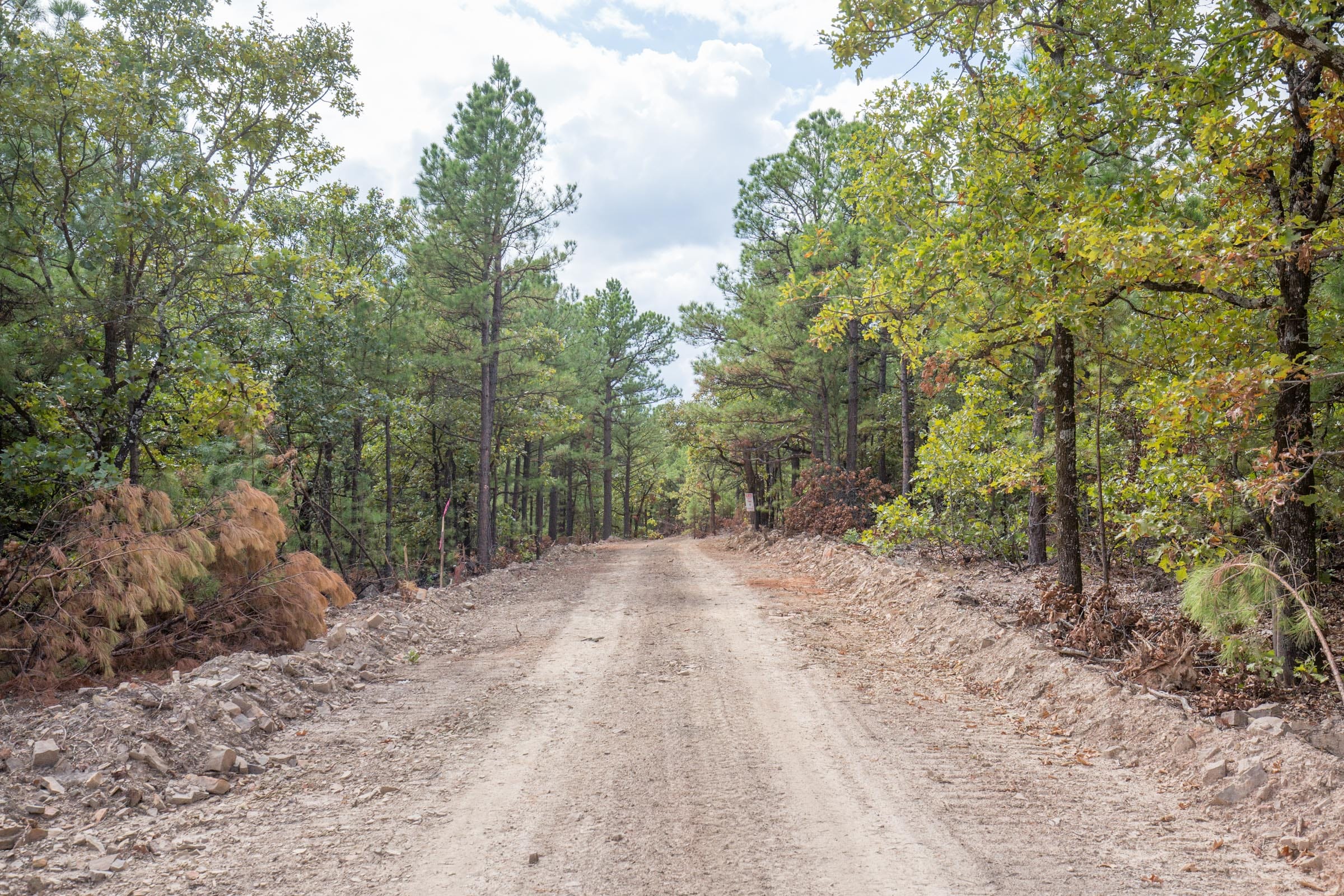 Stone Bridge Phase I Tract 40 photo 6