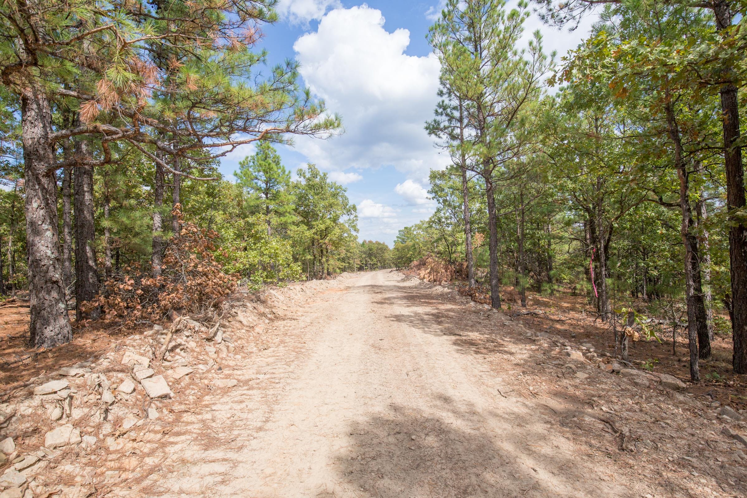 Stone Bridge Phase I Tract 40 photo 8