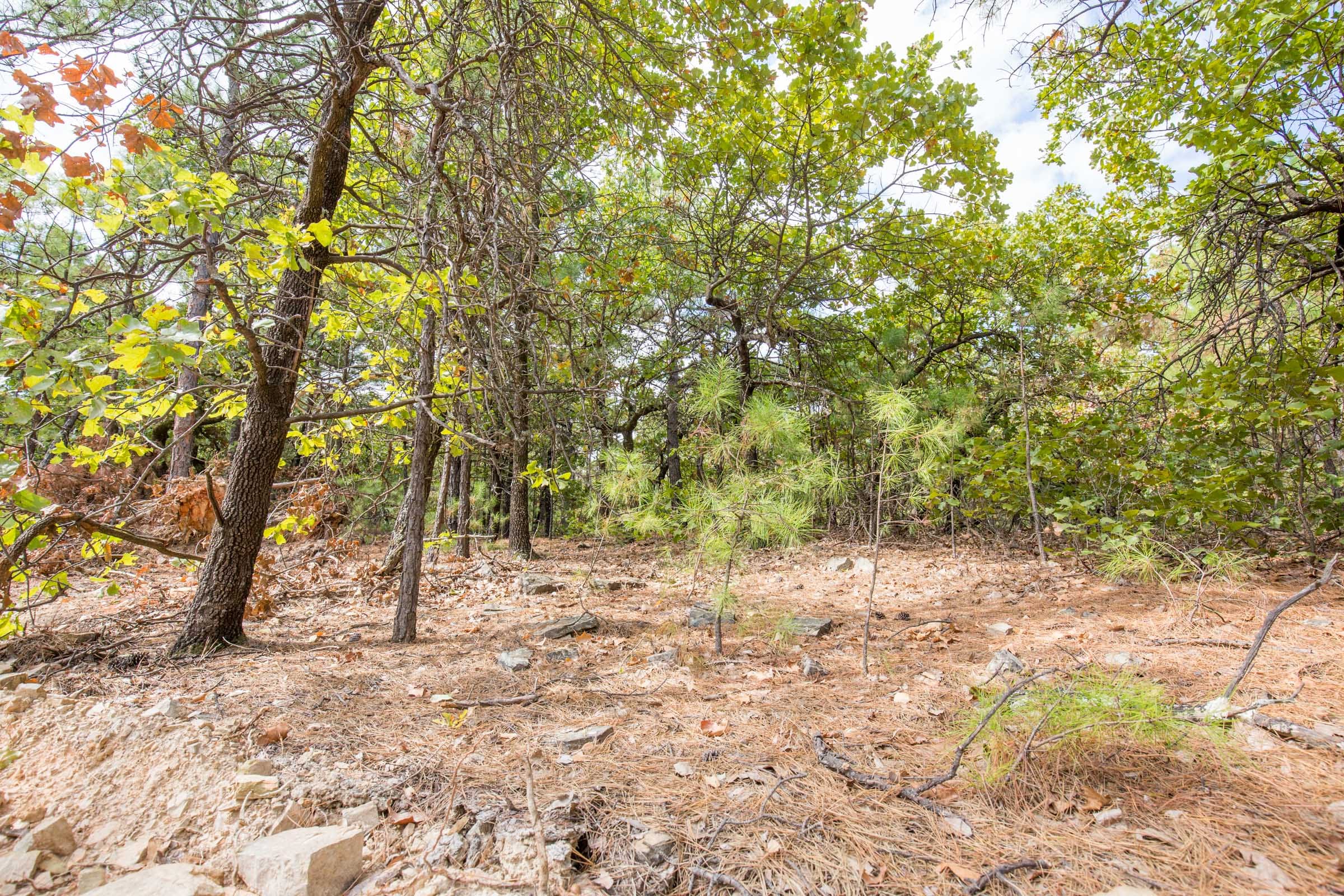 Stone Bridge Phase I Tract 40 photo 10