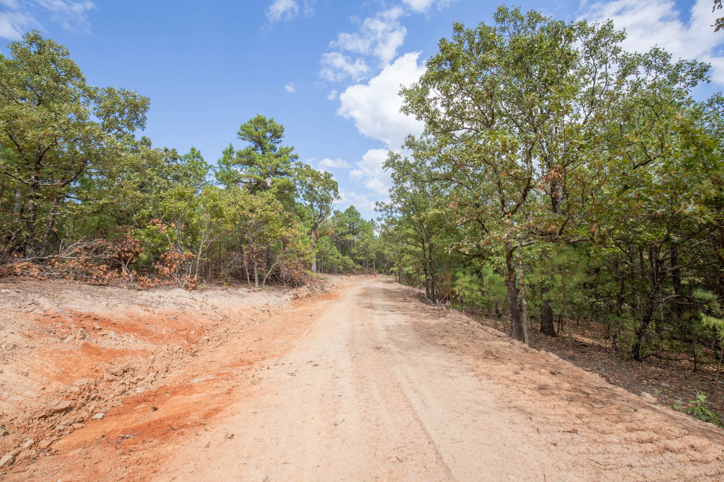 Stone Bridge Phase I Tract 40 photo 11