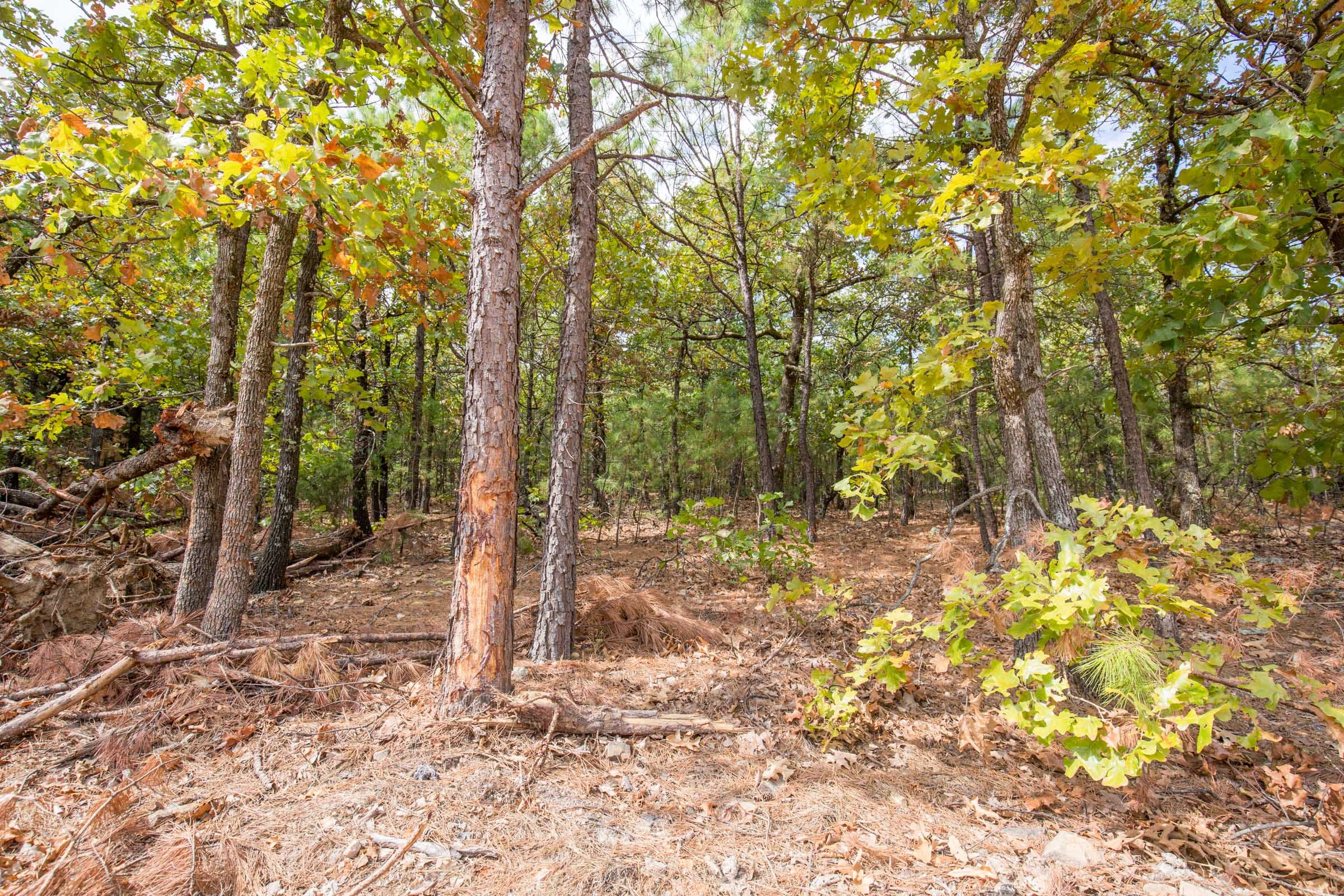 Stone Bridge Phase I Tract 40 photo 12
