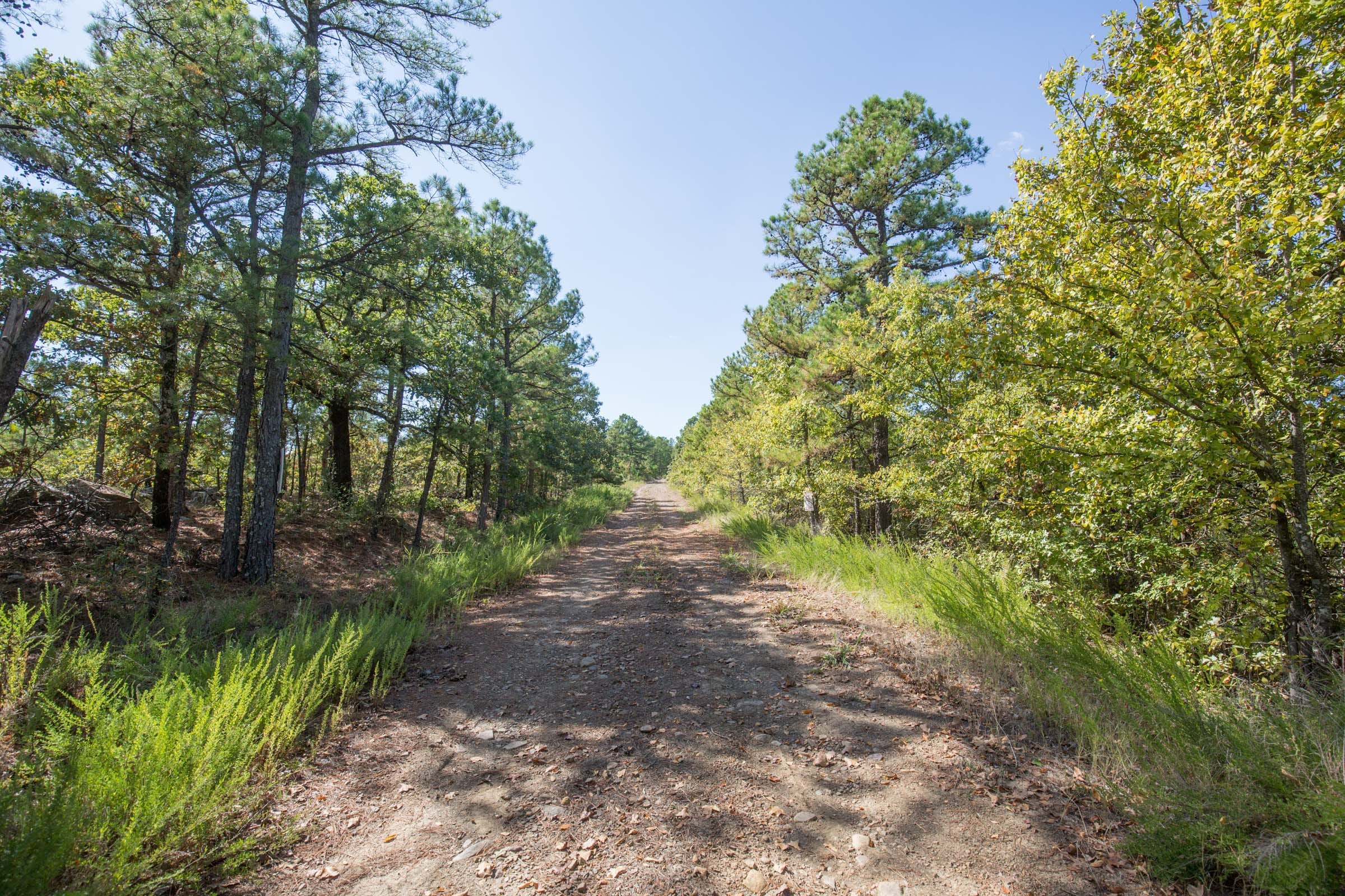Stone Bridge Phase I Tract 52 photo 6