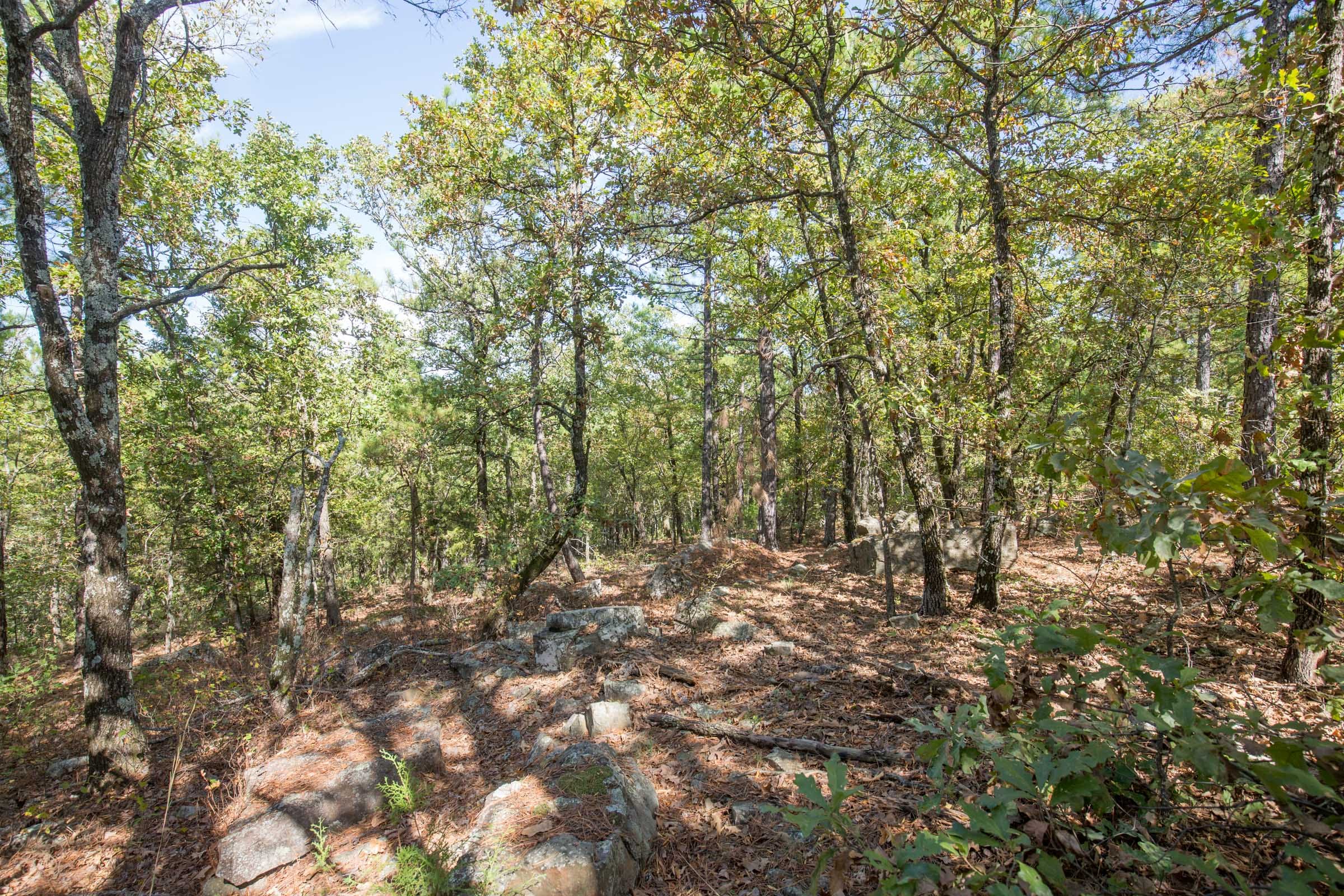Stone Bridge Phase I Tract 52 photo 8
