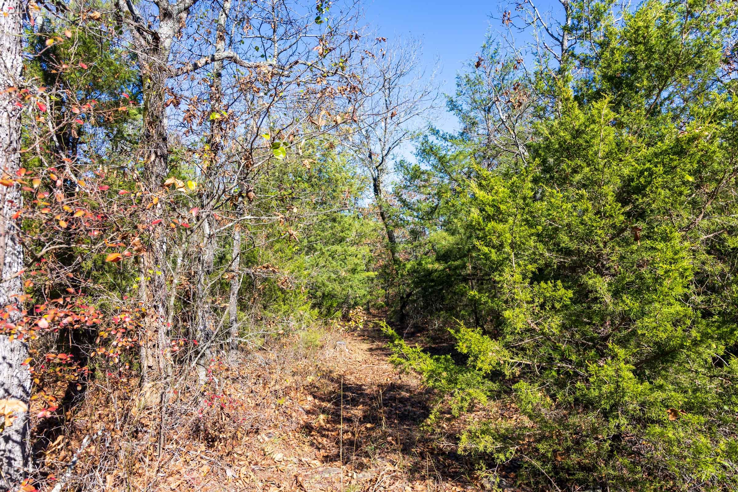 Stone Bridge Reserve Tract 30 photo 9