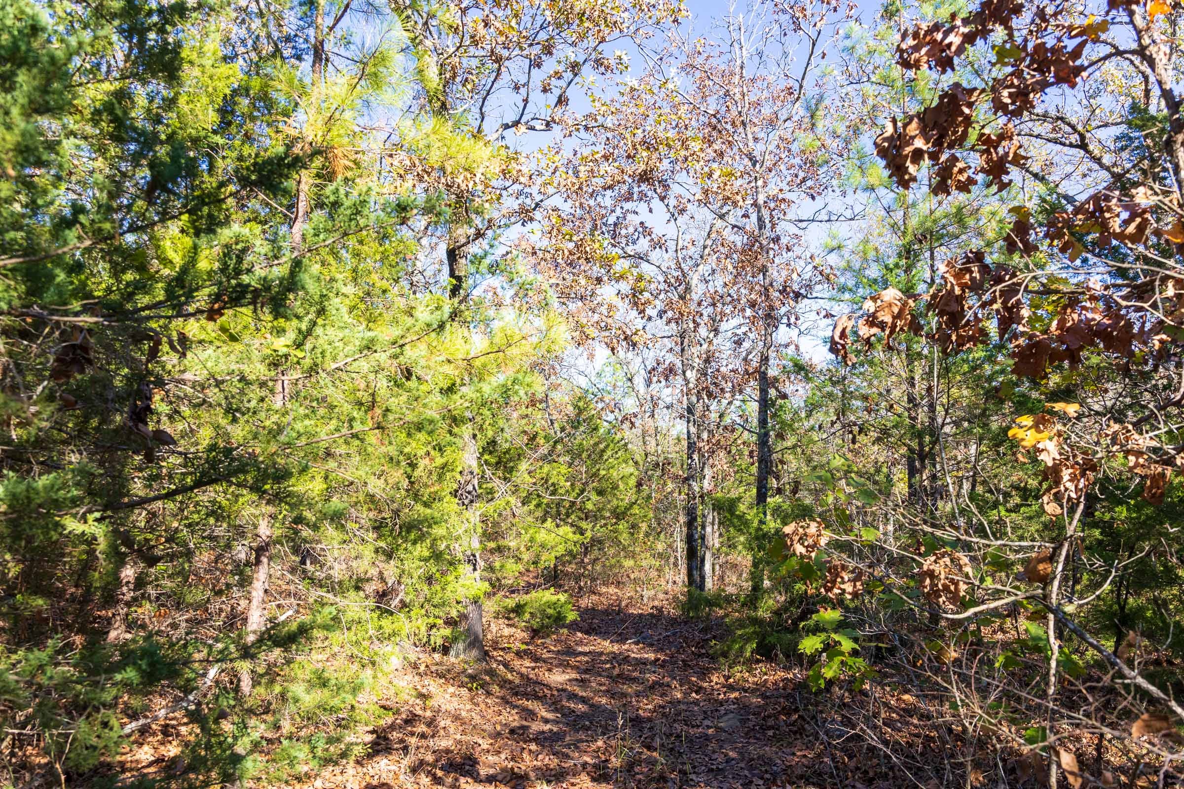 Stone Bridge Reserve Tract 30 photo 11