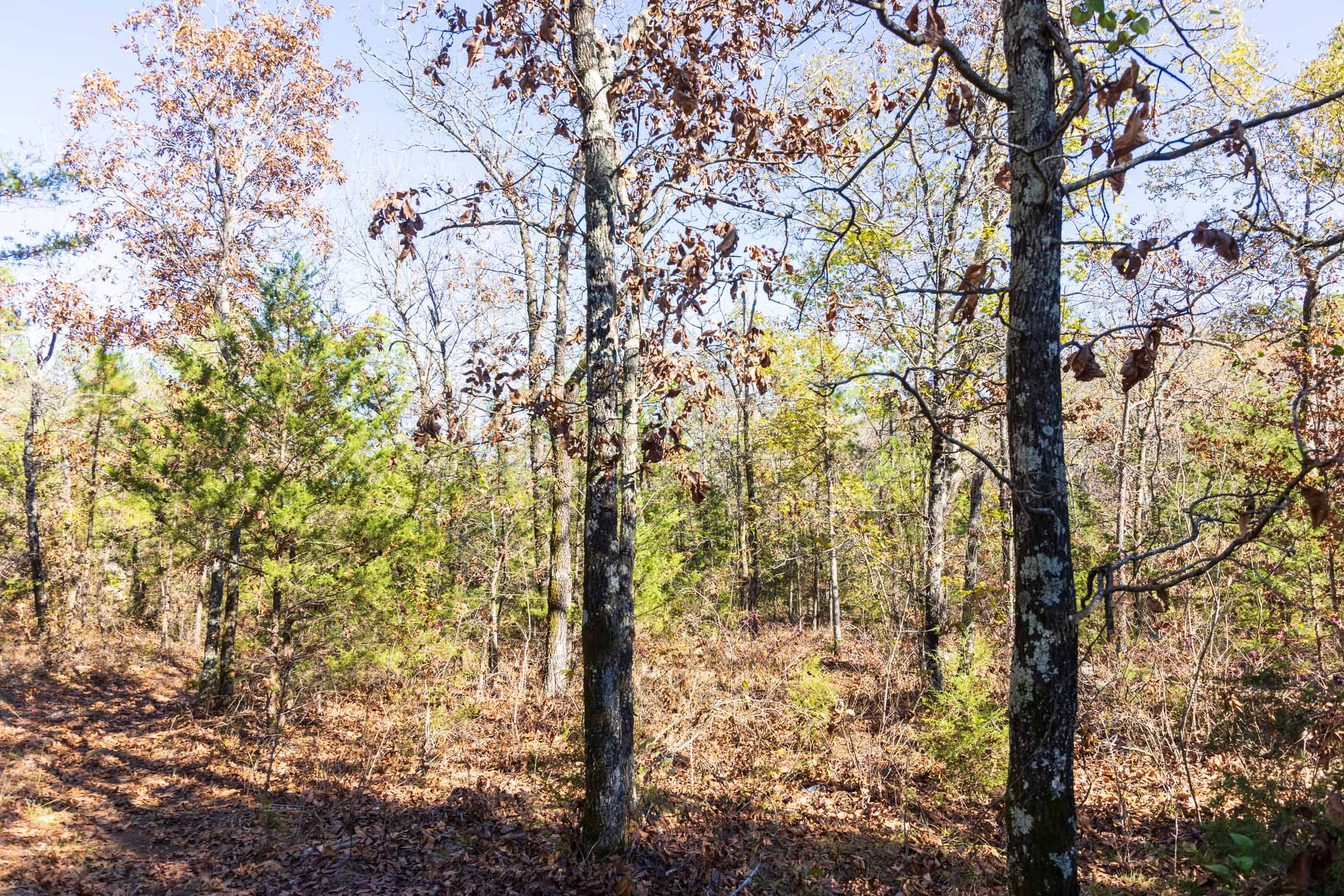 Stone Bridge Reserve Tract 30 photo 15