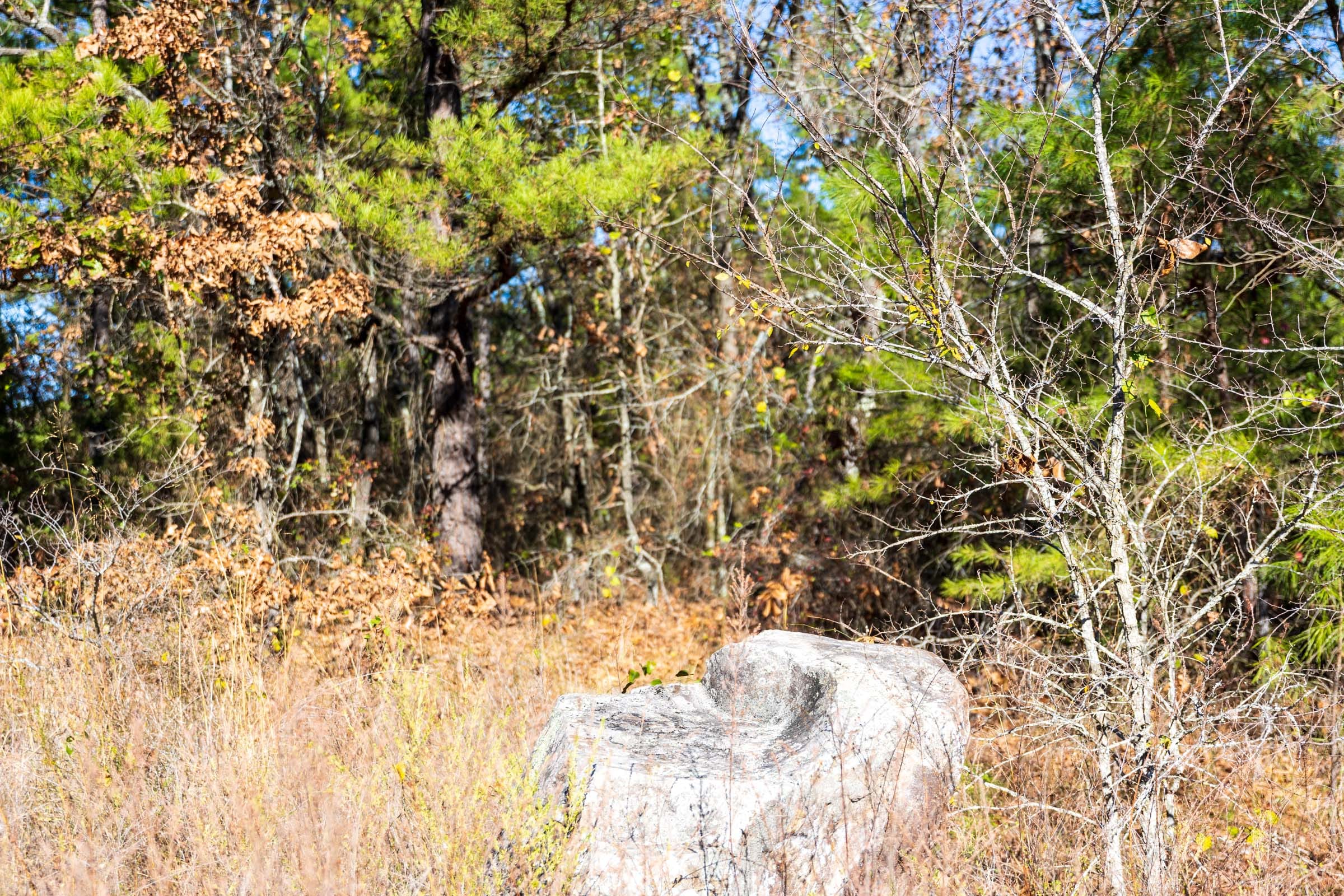 Stone Bridge Reserve Tract 30 photo 17