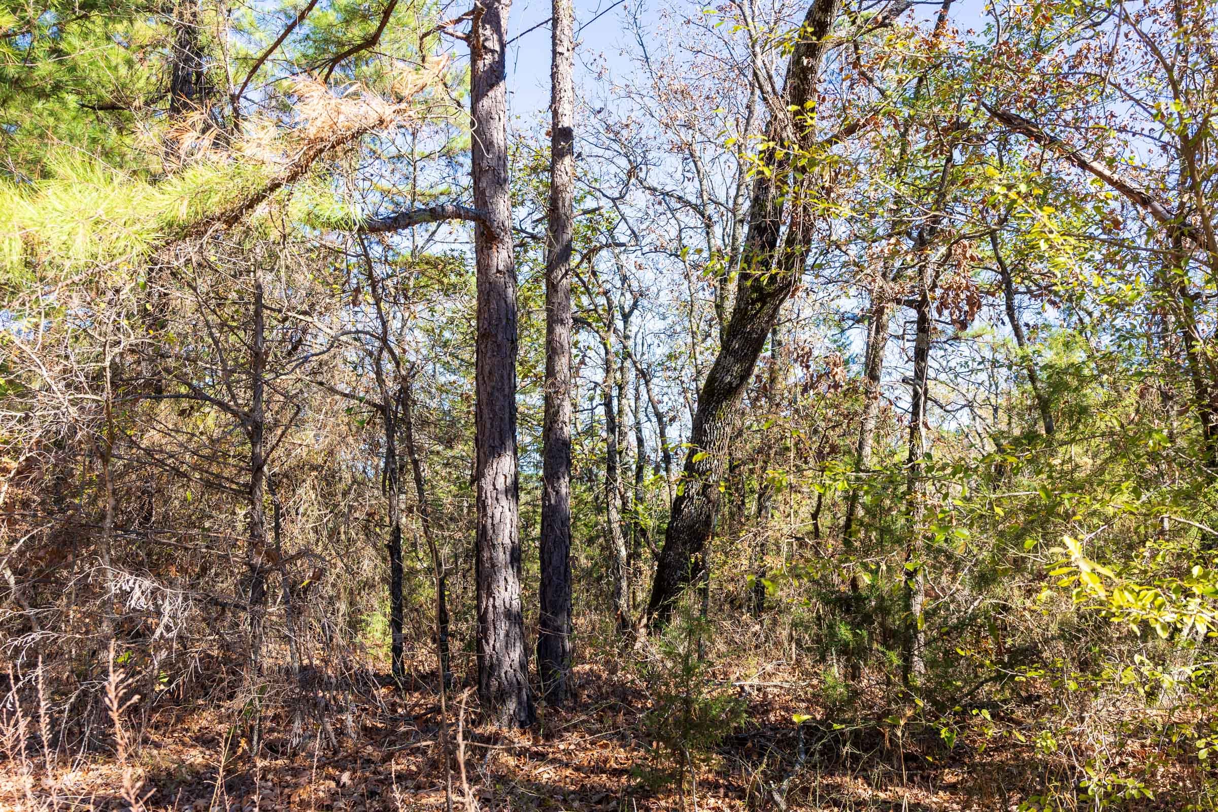 Stone Bridge Reserve Tract 30 photo 10