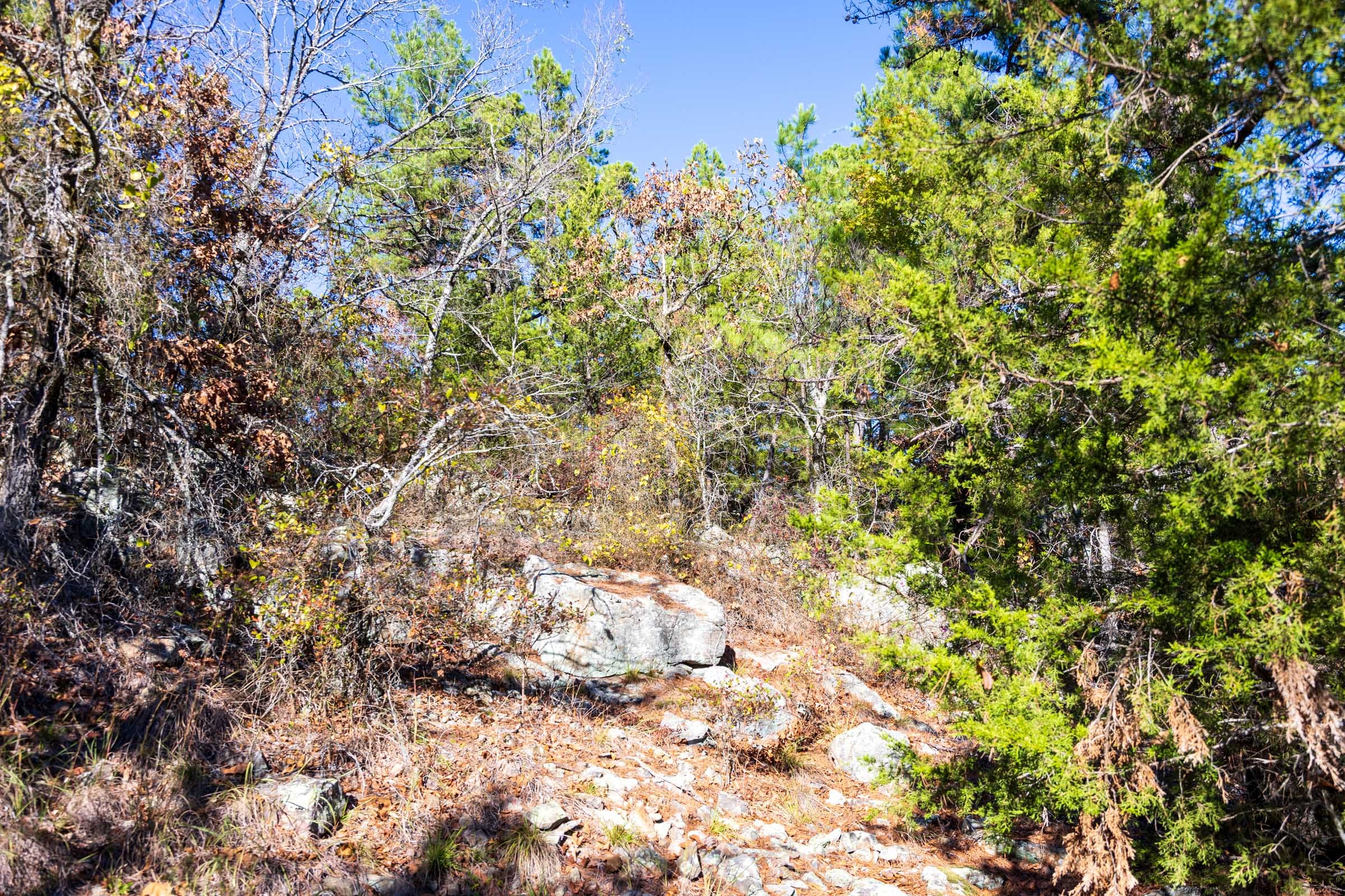 Stone Bridge Reserve Tract 30 photo 16