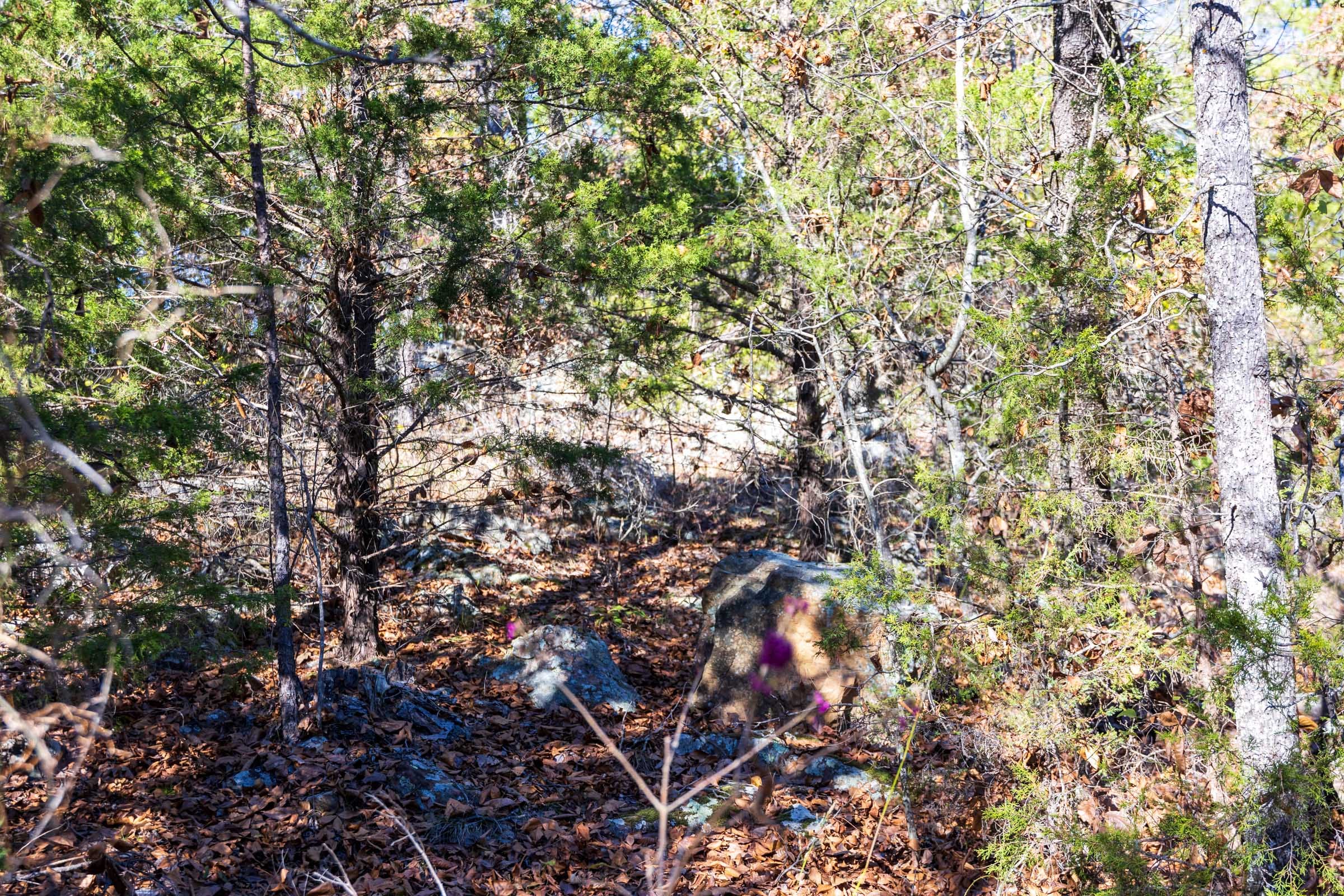 Stone Bridge Reserve Tract 30 photo 14