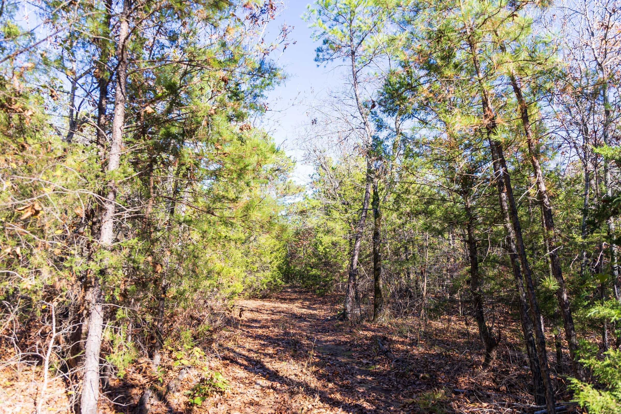Stone Bridge Reserve Tract 30 photo 12