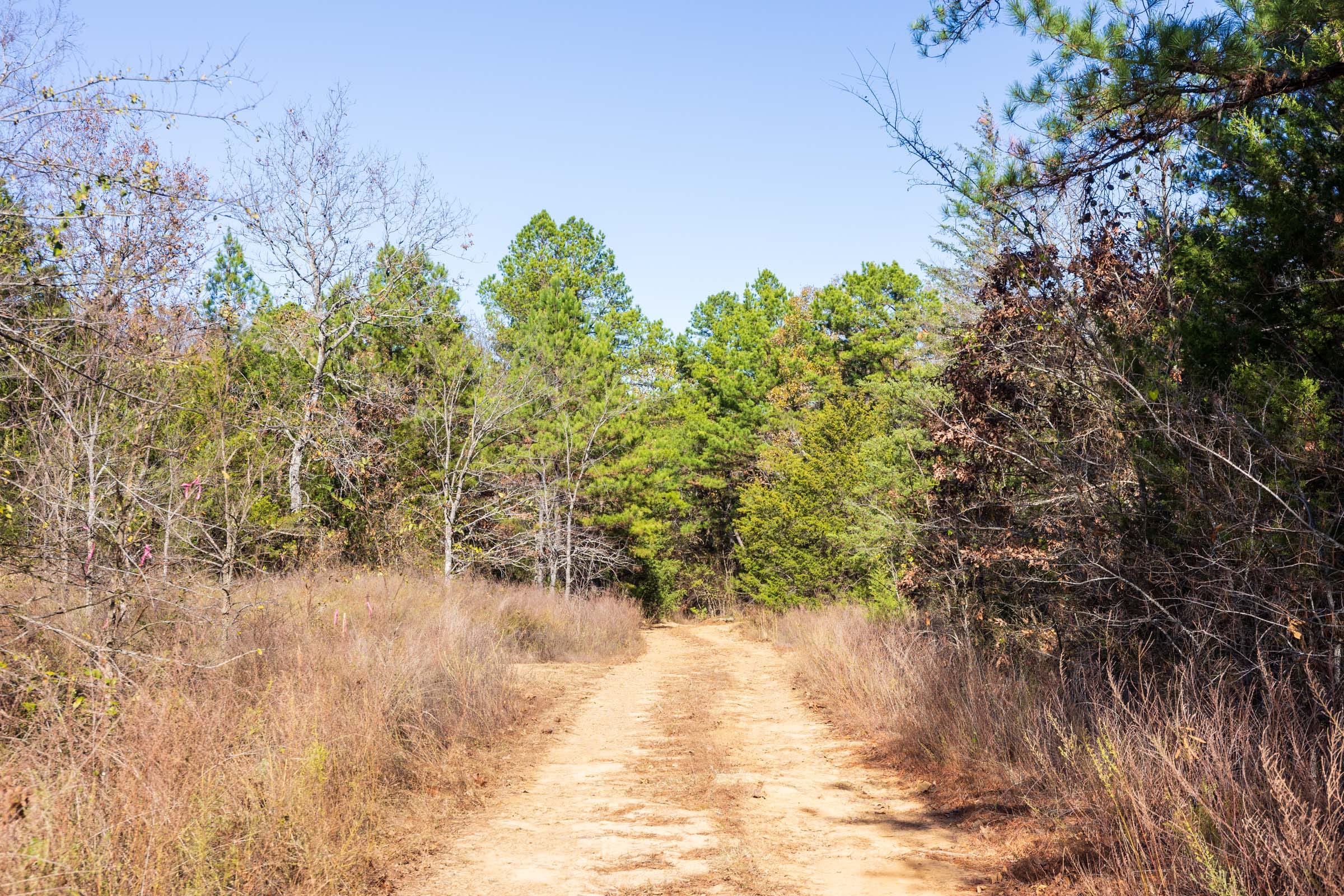 Stone Bridge Reserve Tract 30 photo 1