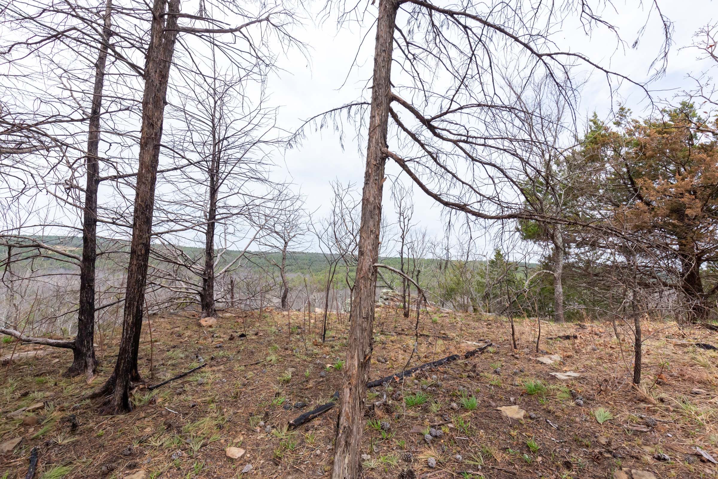 Stone Bridge Phase III Tract 142 photo 8