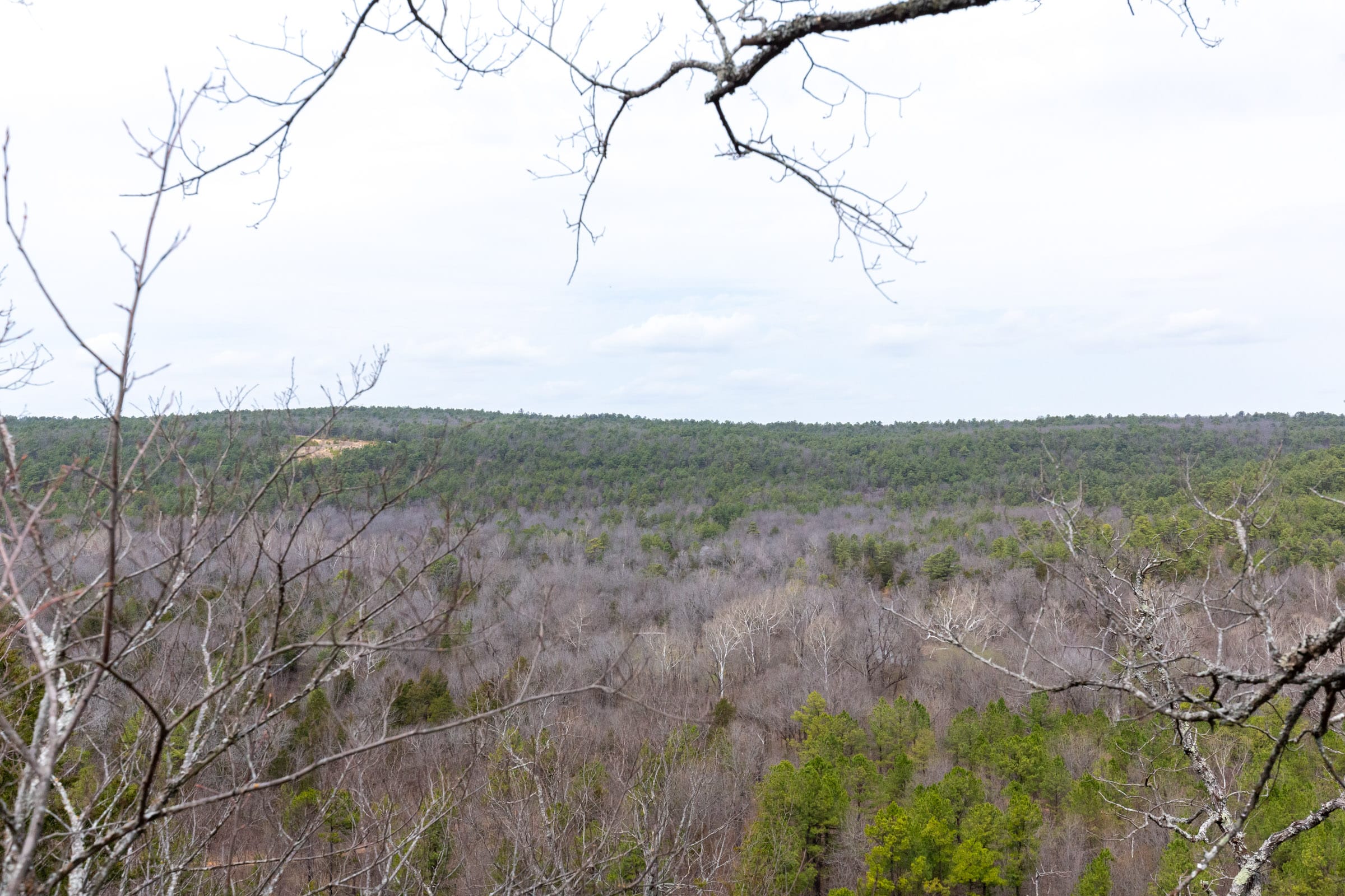 Stone Bridge Phase III Tract 142 photo 10