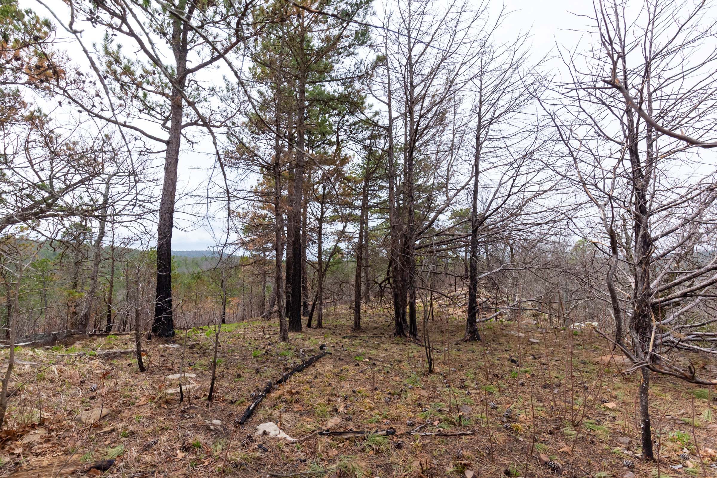 Stone Bridge Phase III Tract 142 photo 12