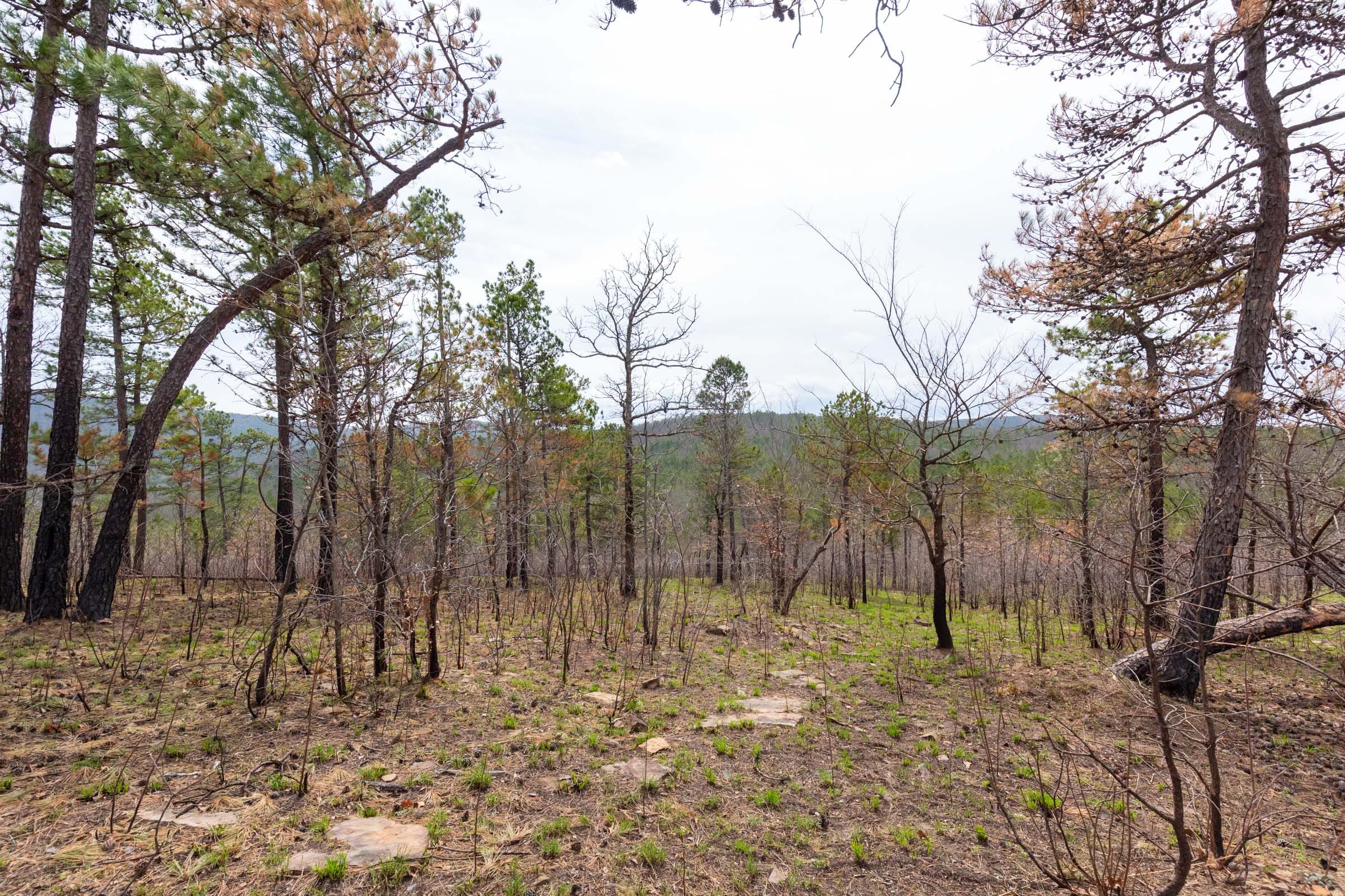 Stone Bridge Phase III Tract 142 photo 13