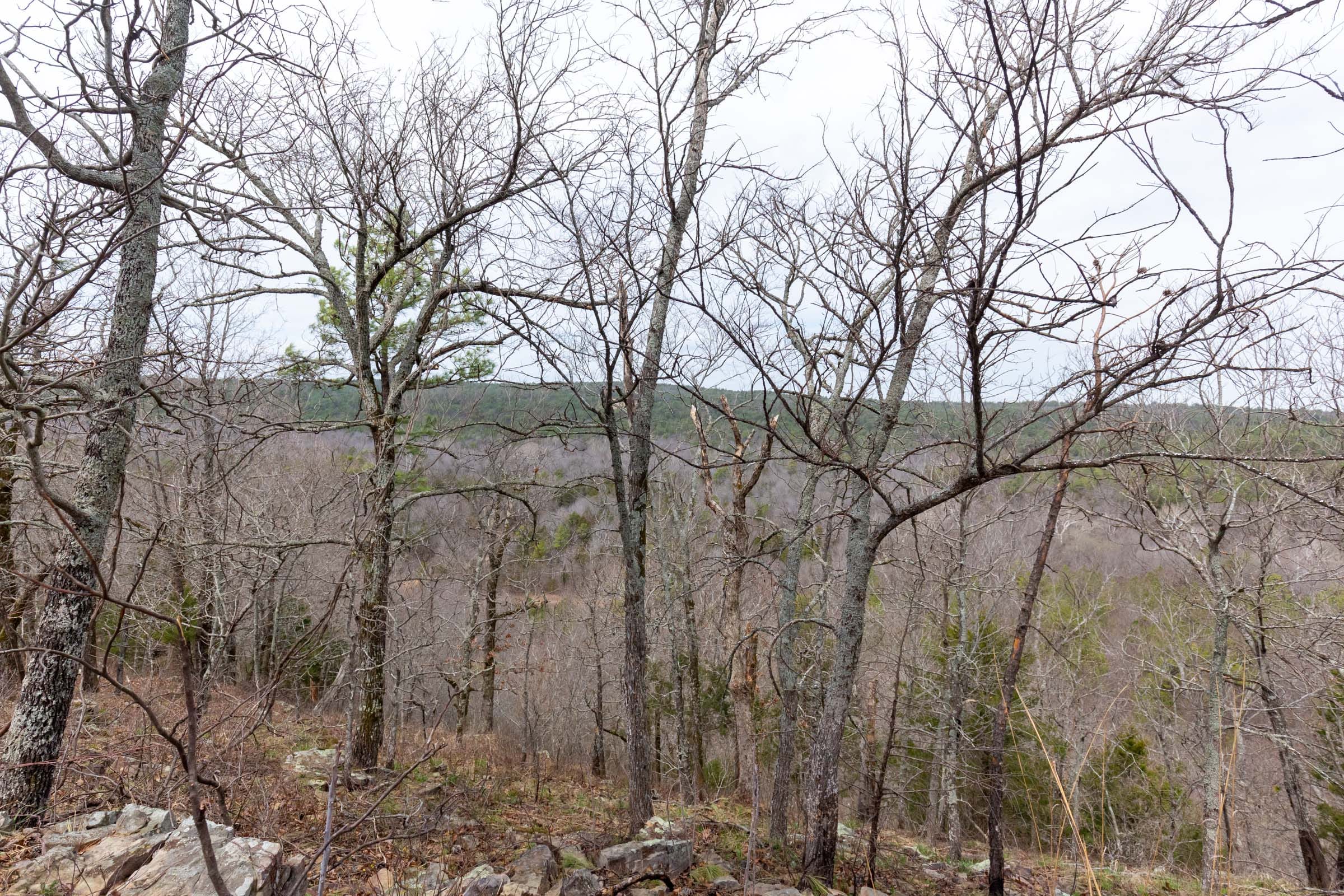 Stone Bridge Phase III Tract 142 photo 14