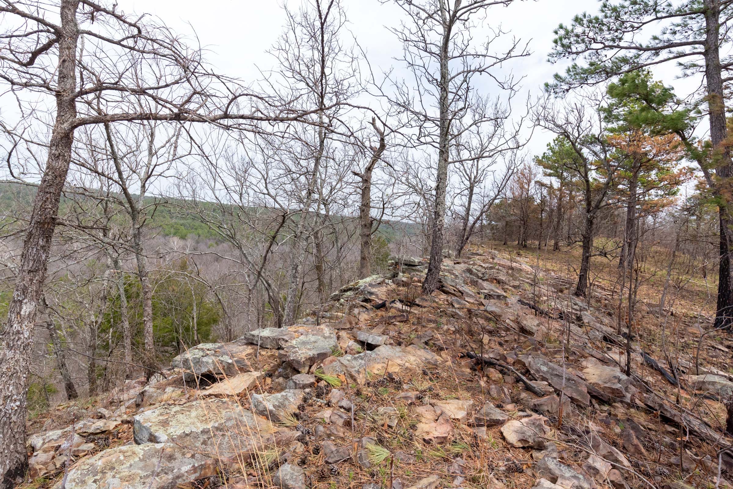 Stone Bridge Phase III Tract 142 photo 15