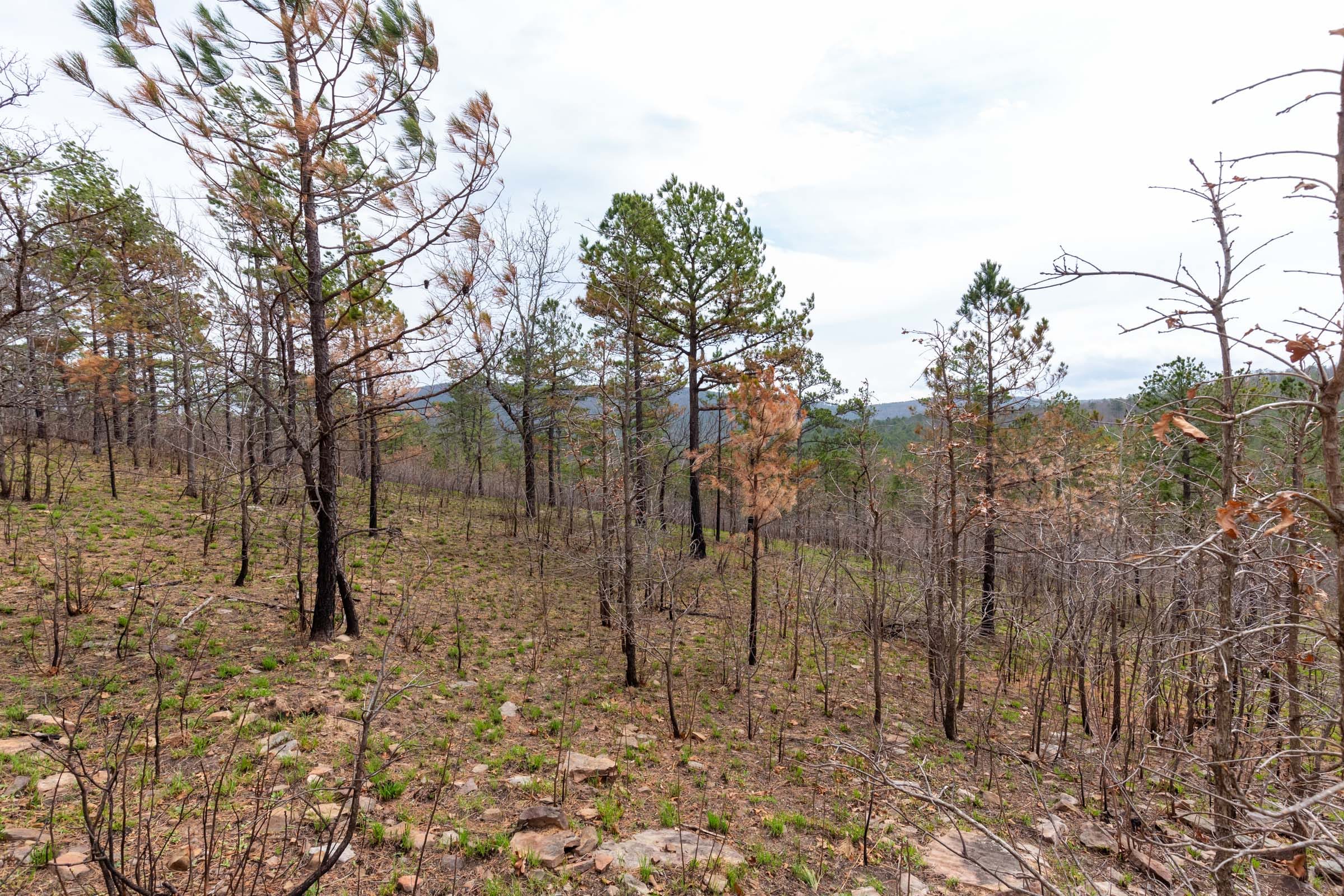 Stone Bridge Phase III Tract 142 photo 17