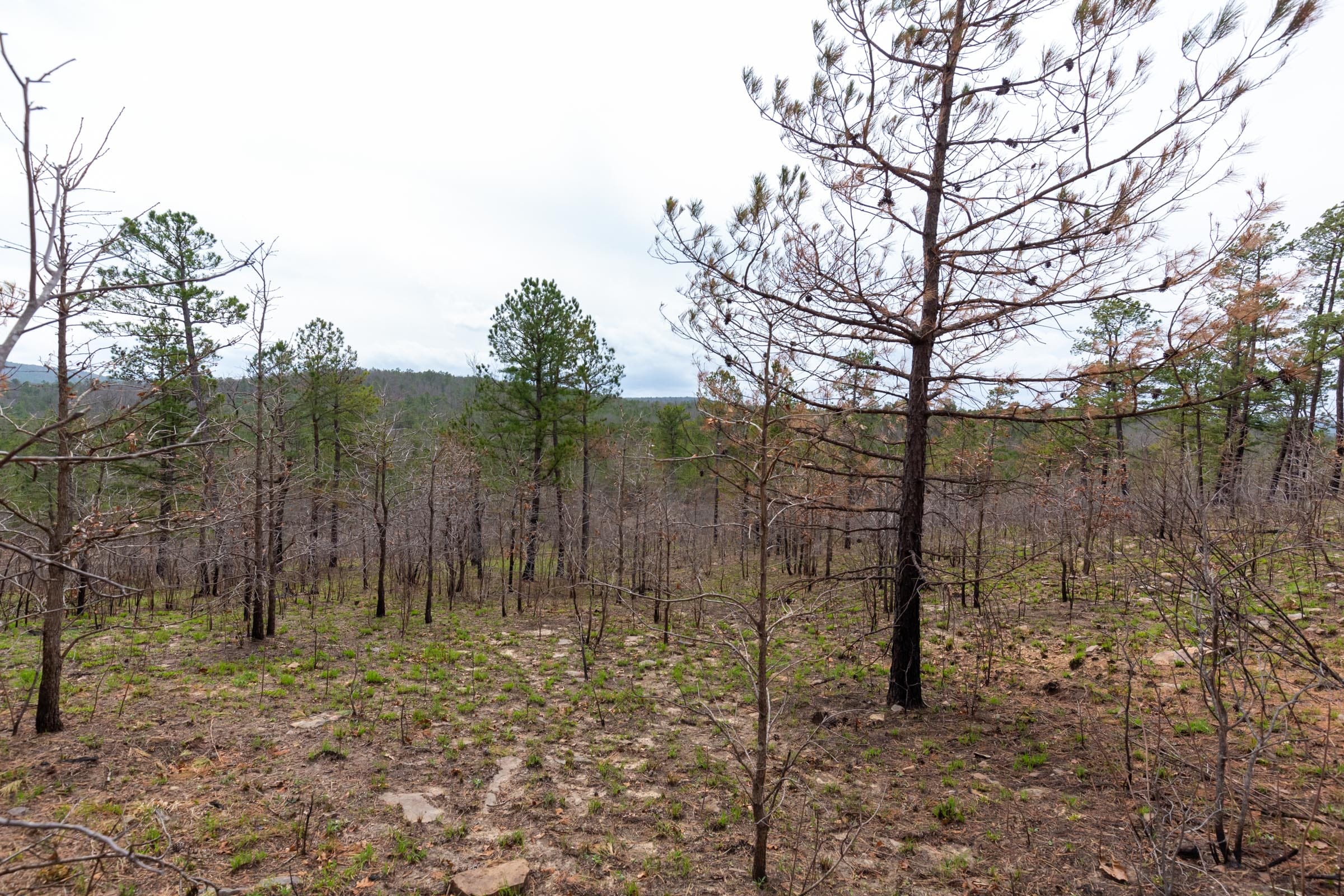 Stone Bridge Phase III Tract 142 photo 18