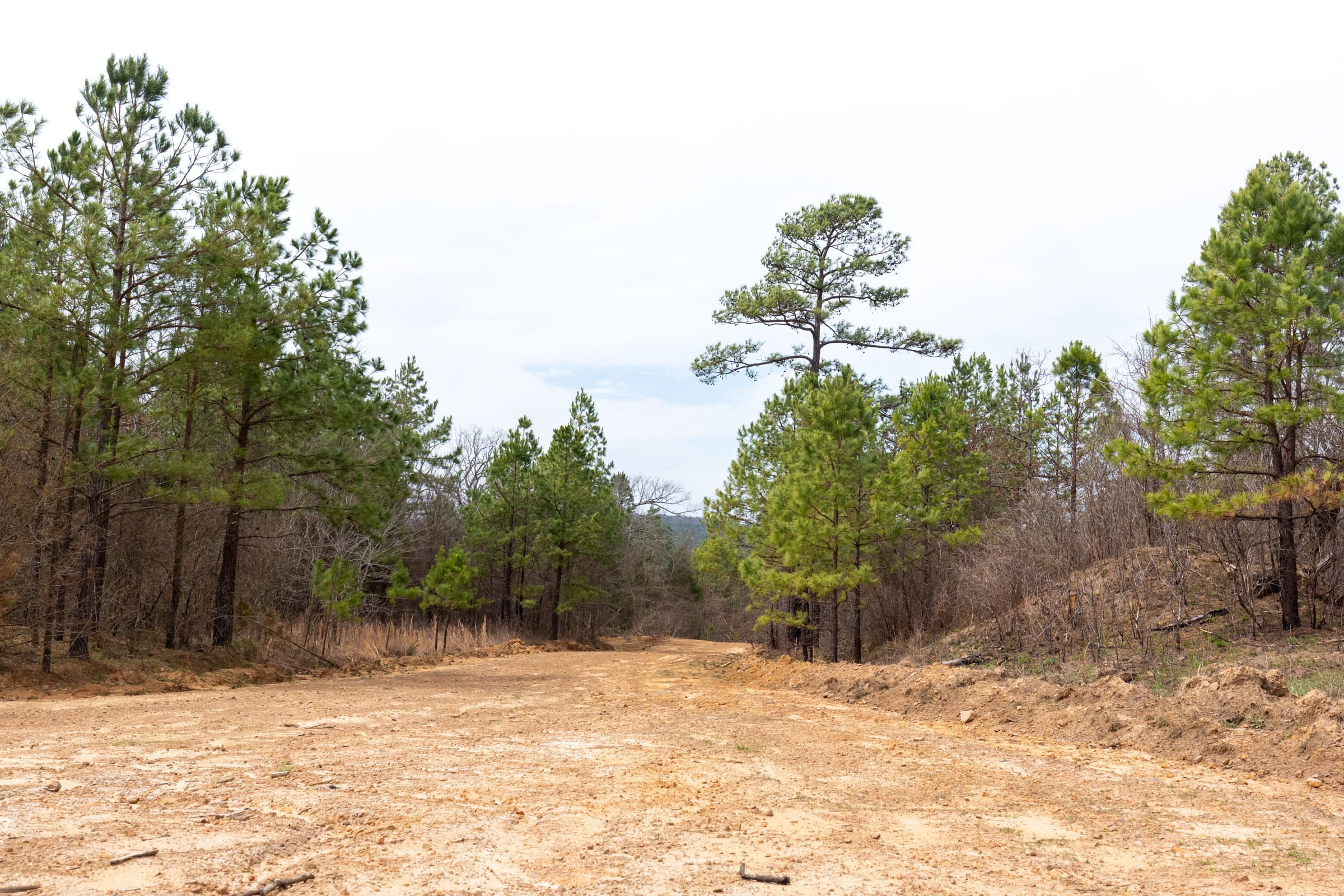 Stone Bridge Phase III Tract 142 photo 1