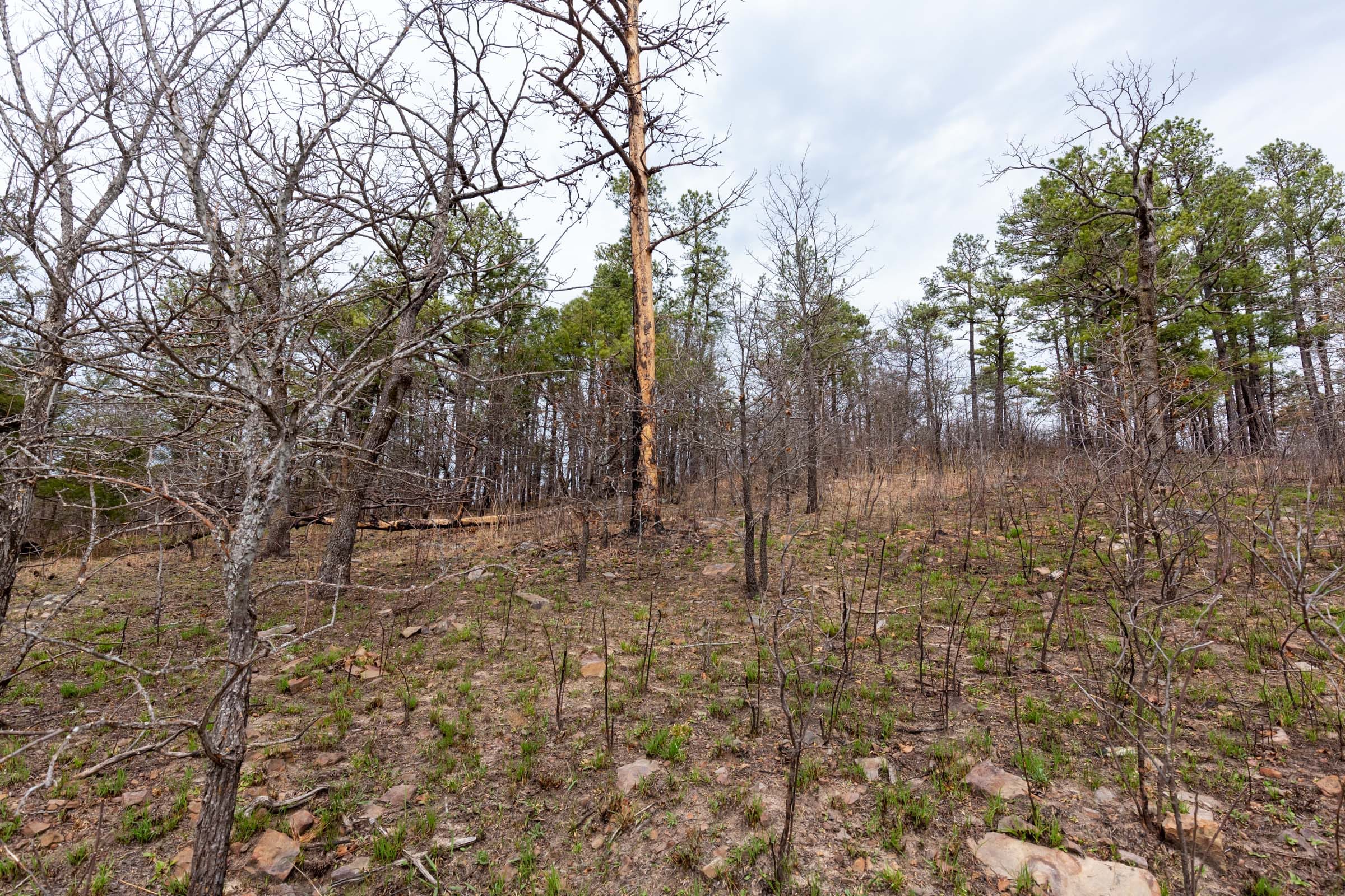 Stone Bridge Phase III Tract 142 photo 20