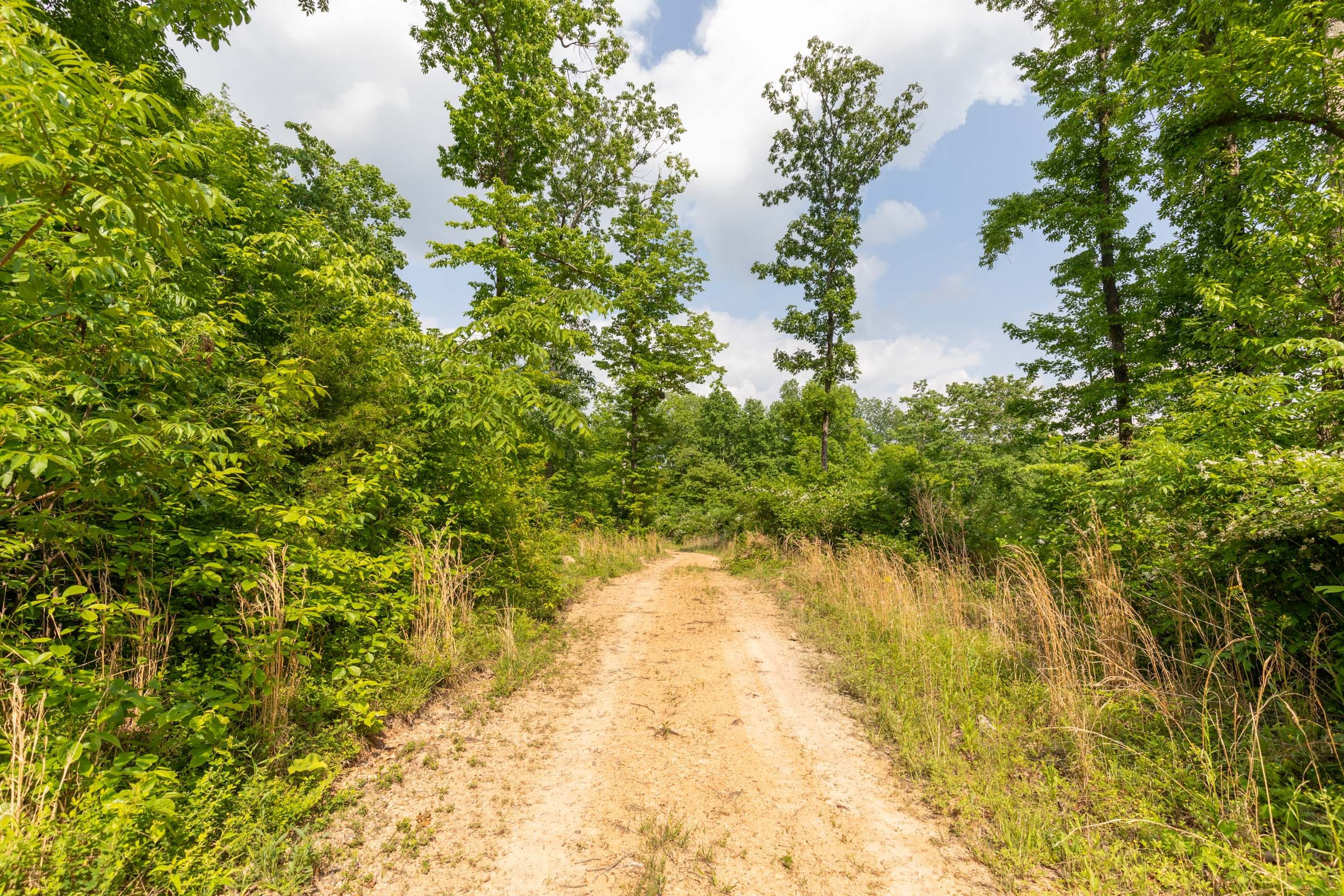 Cedar Creek Tract 21 photo 1