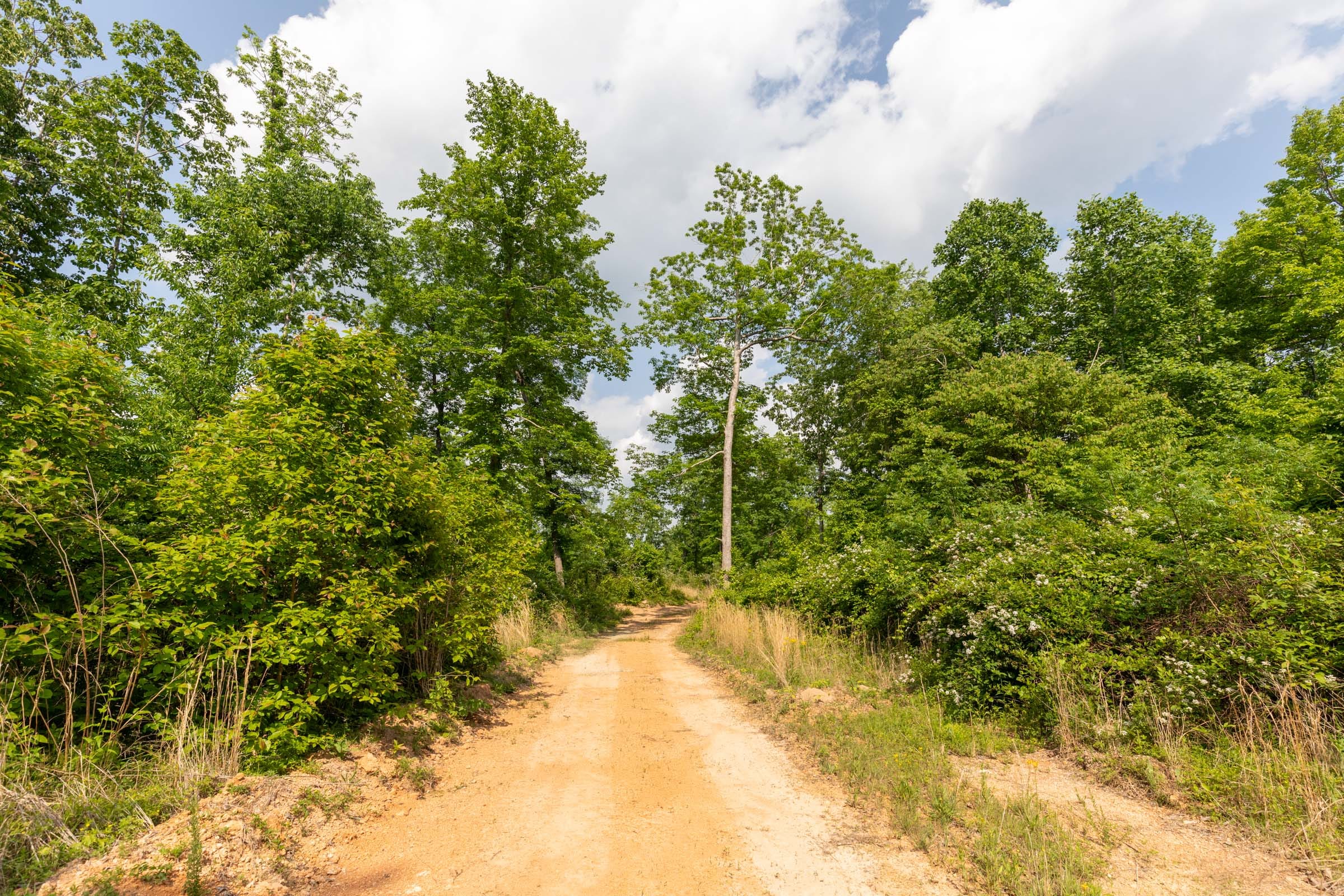 Cedar Creek Tract 21 photo 3