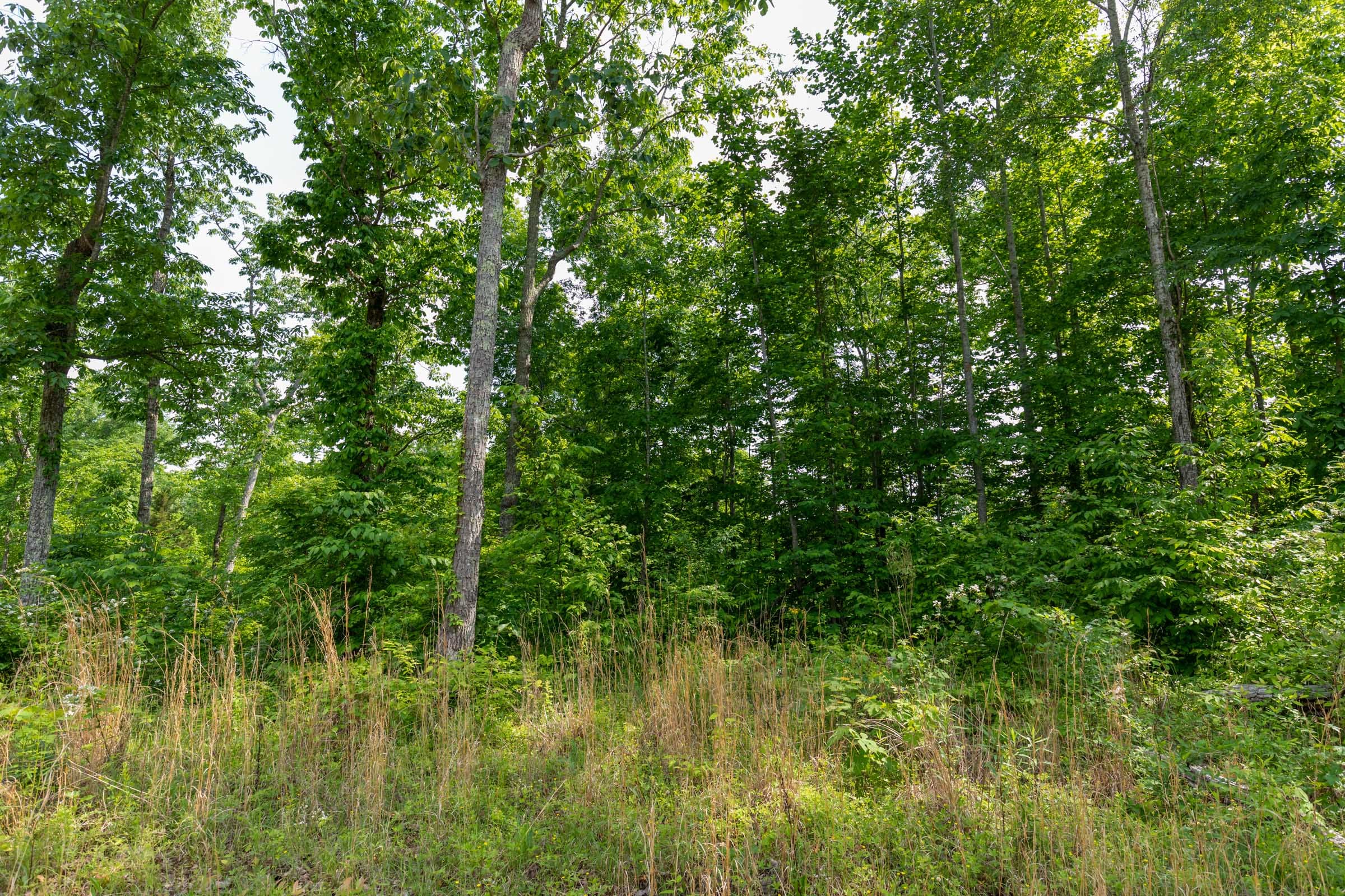 Cedar Creek Tract 21 photo 6