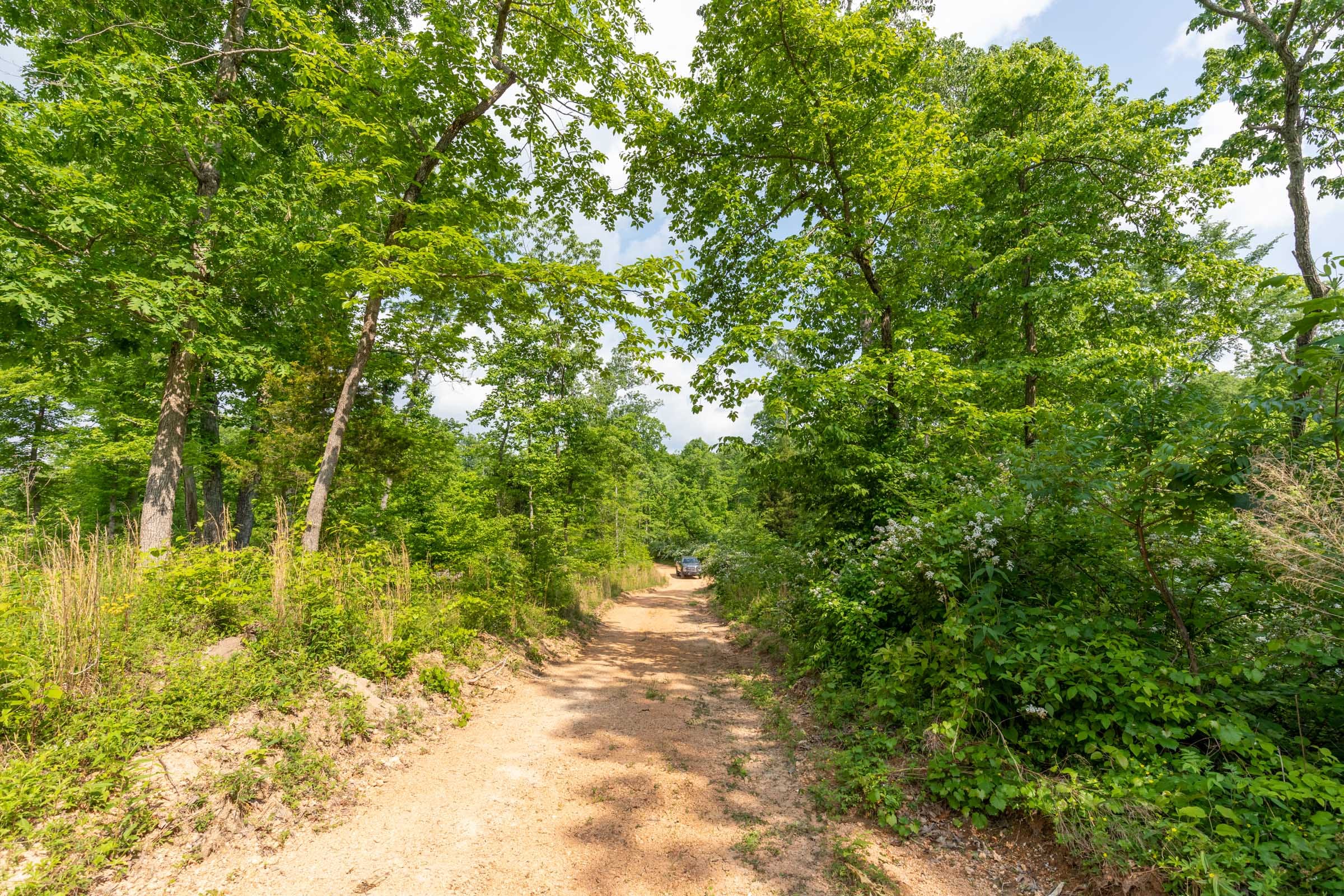 Cedar Creek Tract 21 photo 5