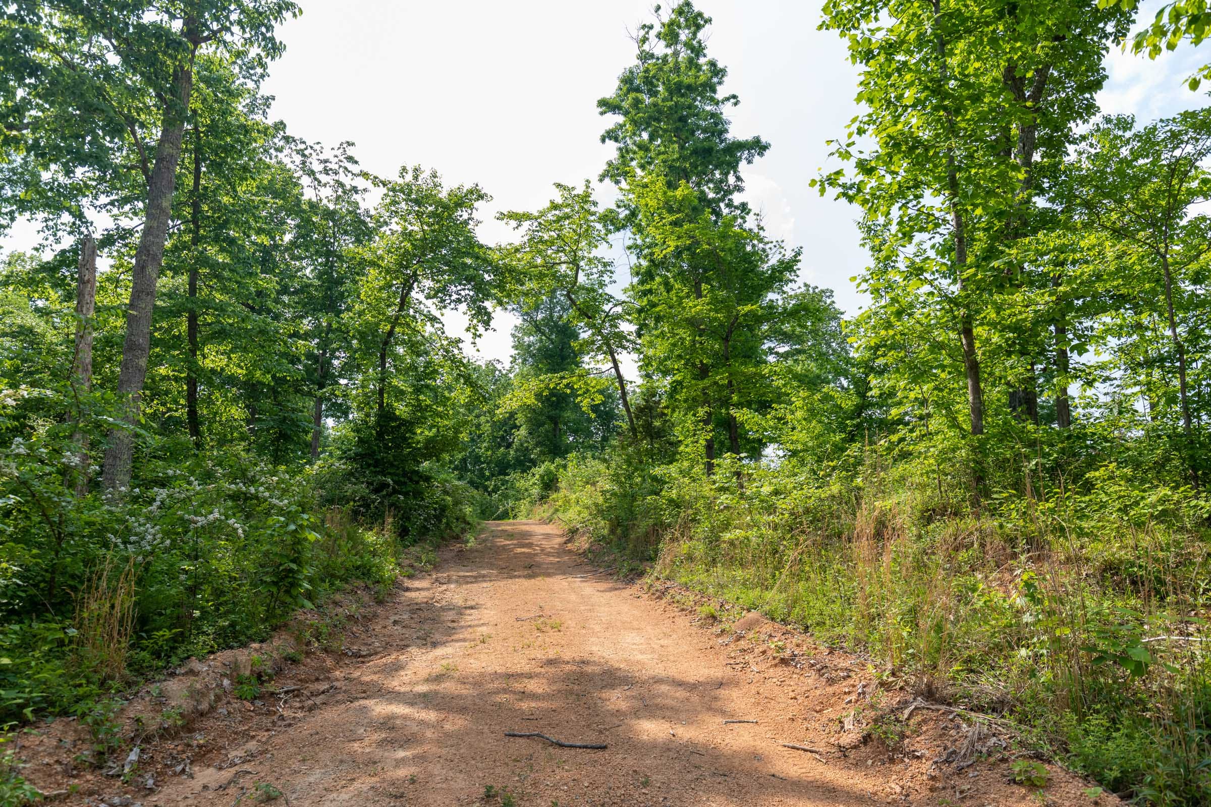 Cedar Creek Tract 21 photo 7