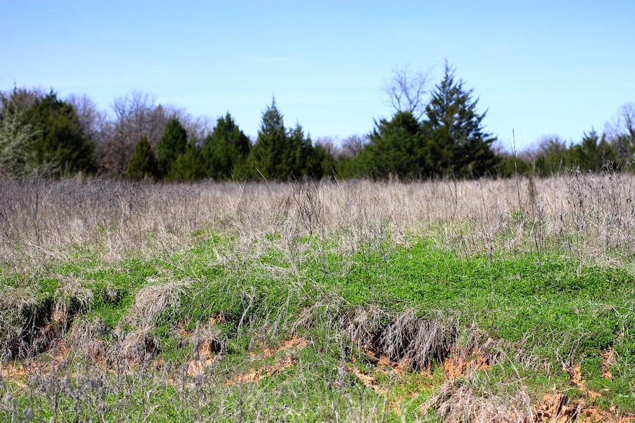 Montgomery Ranch Tract 9 photo 4