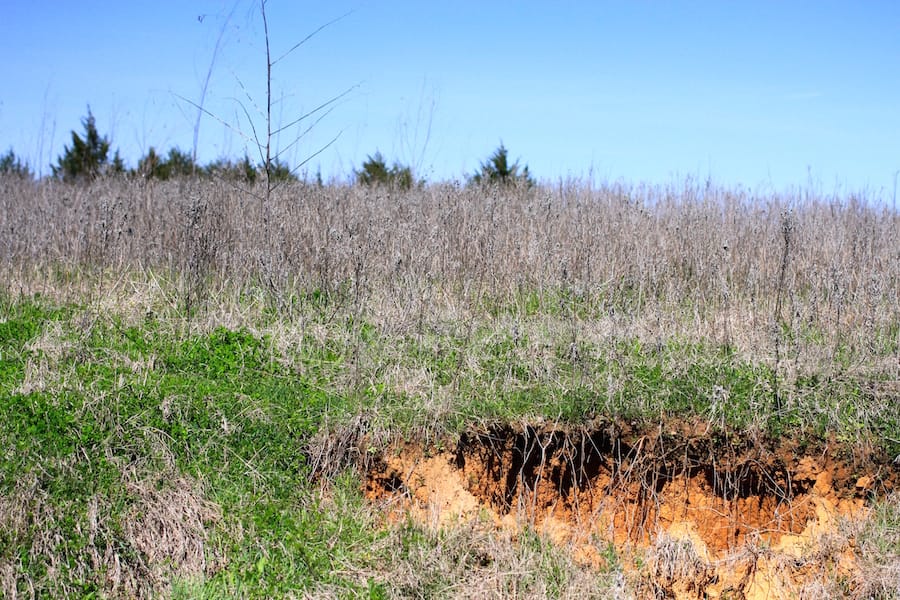 Montgomery Ranch Tract 9 photo 5
